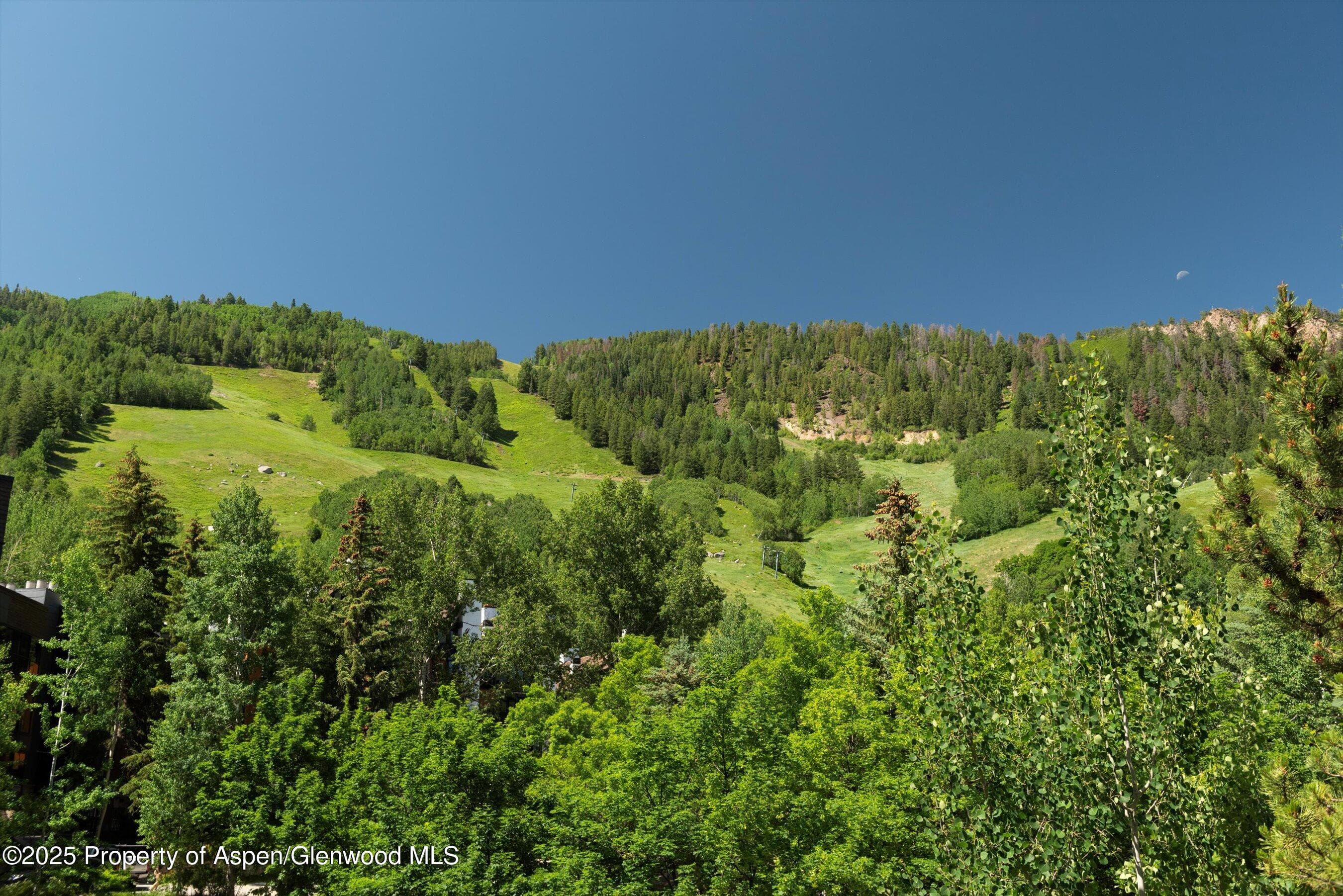 714 S Galena Street B, Aspen, CO 81611 - Photo 25