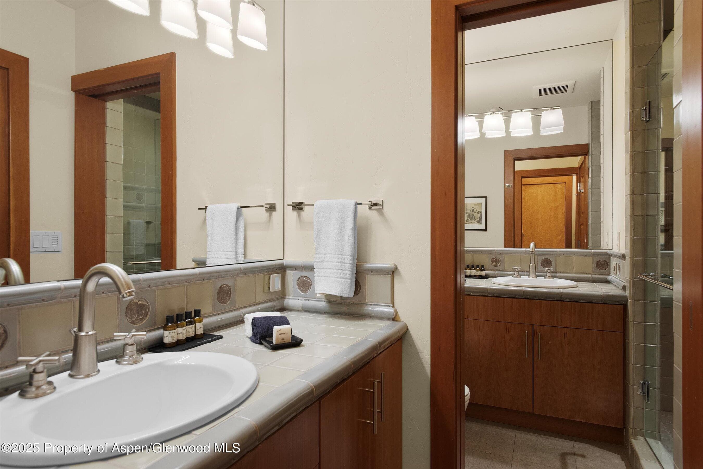 714 S Galena Street B, Aspen, CO 81611 - Photo 33