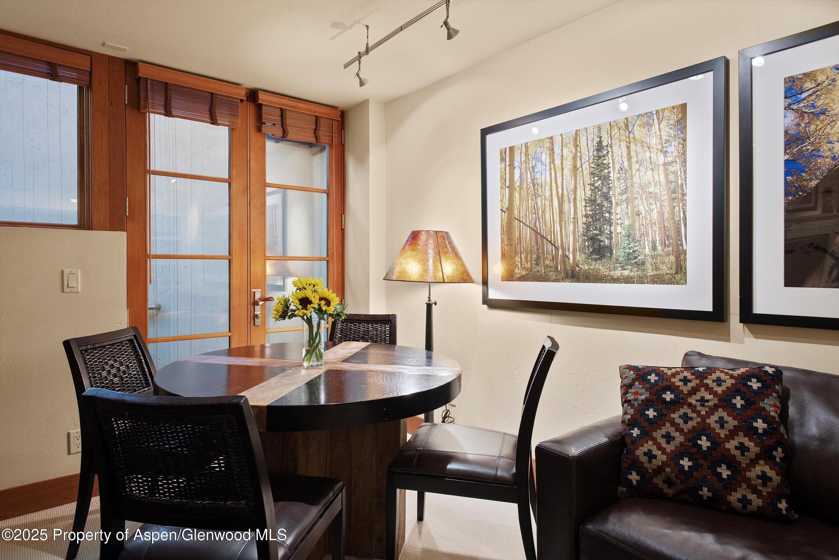 714 S Galena Street B, Aspen, CO 81611 - Photo 37