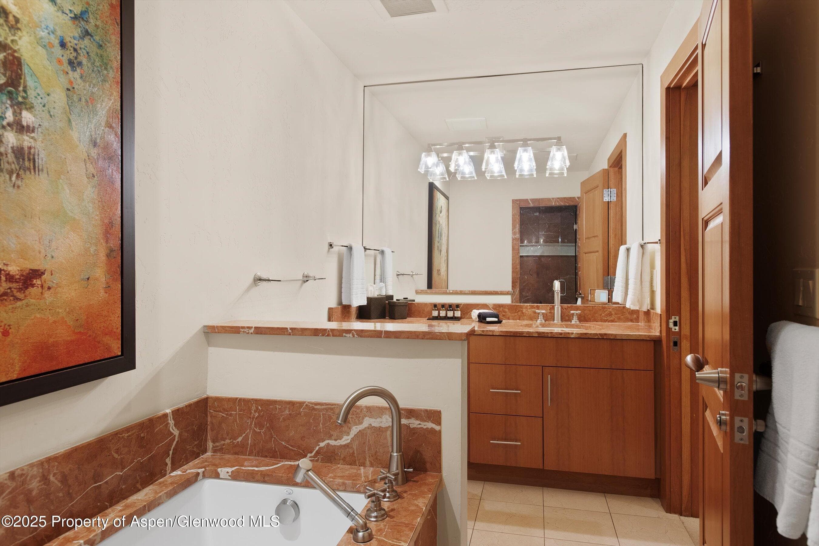 714 S Galena Street B, Aspen, CO 81611 - Photo 40