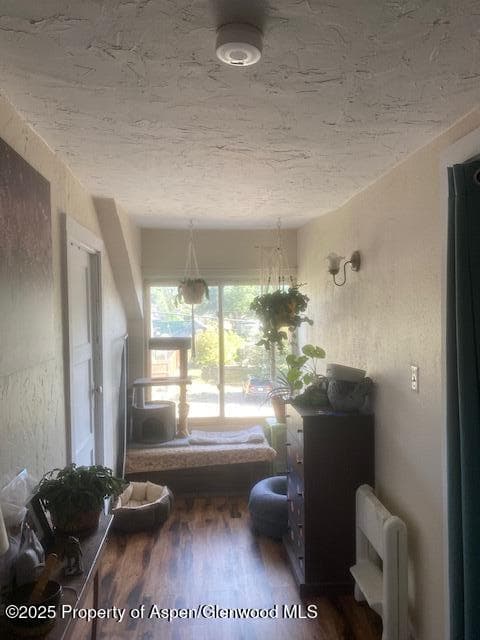 336 E 7th Street, Rifle, CO 81650 - Photo 12