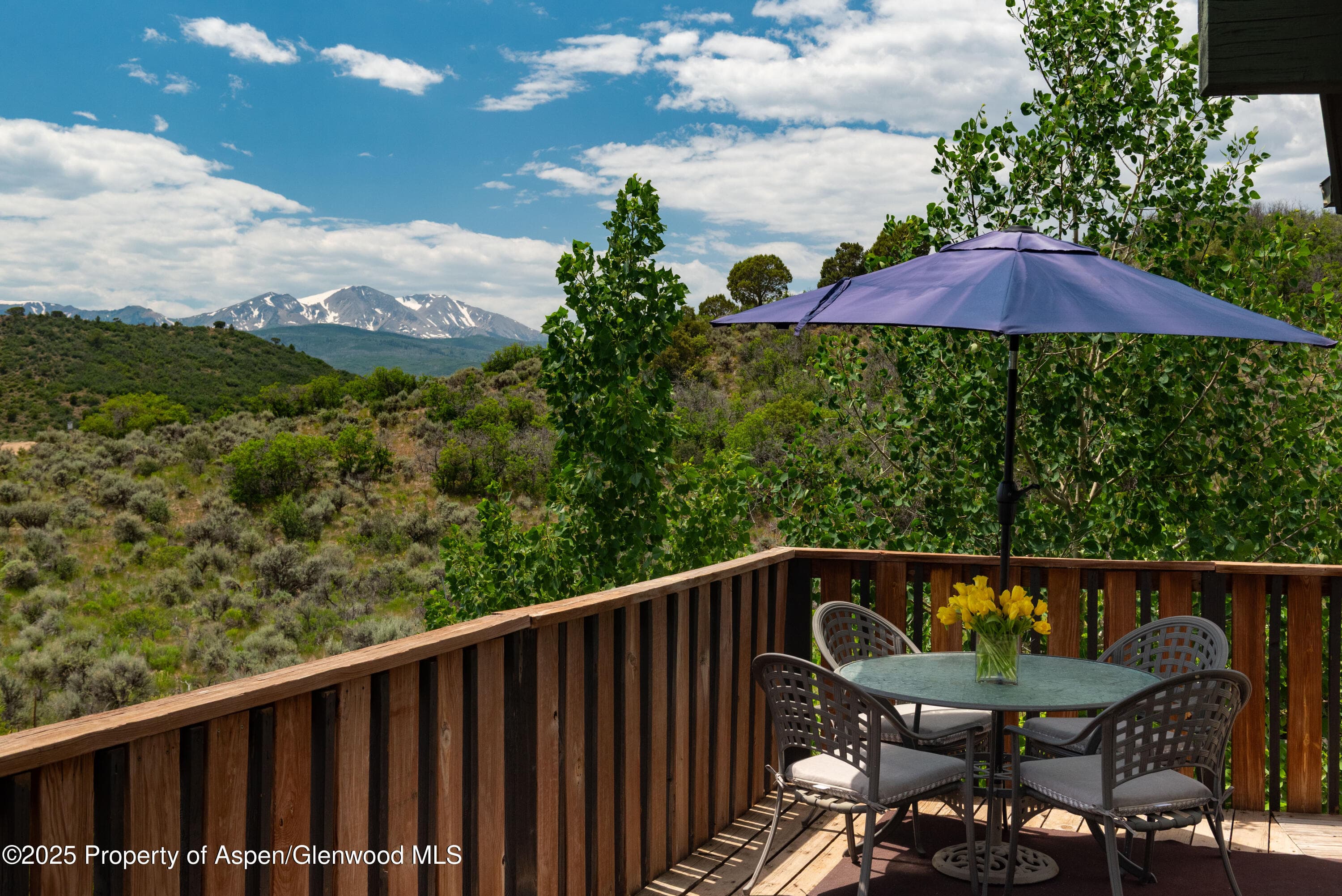 614 Light Hill Road, Snowmass, CO 81654