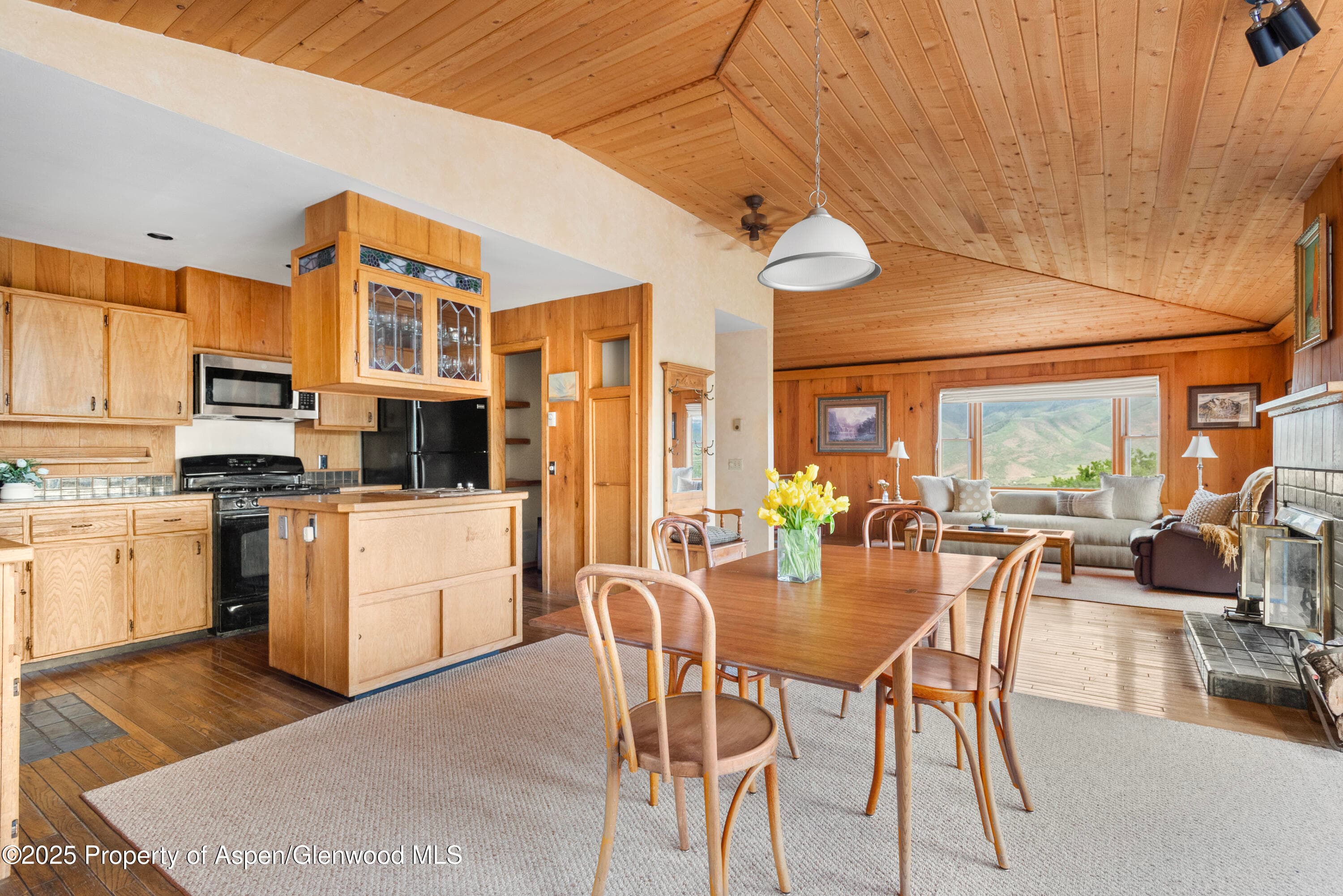 2020 Juniper Hill Drive, Aspen, CO 81611