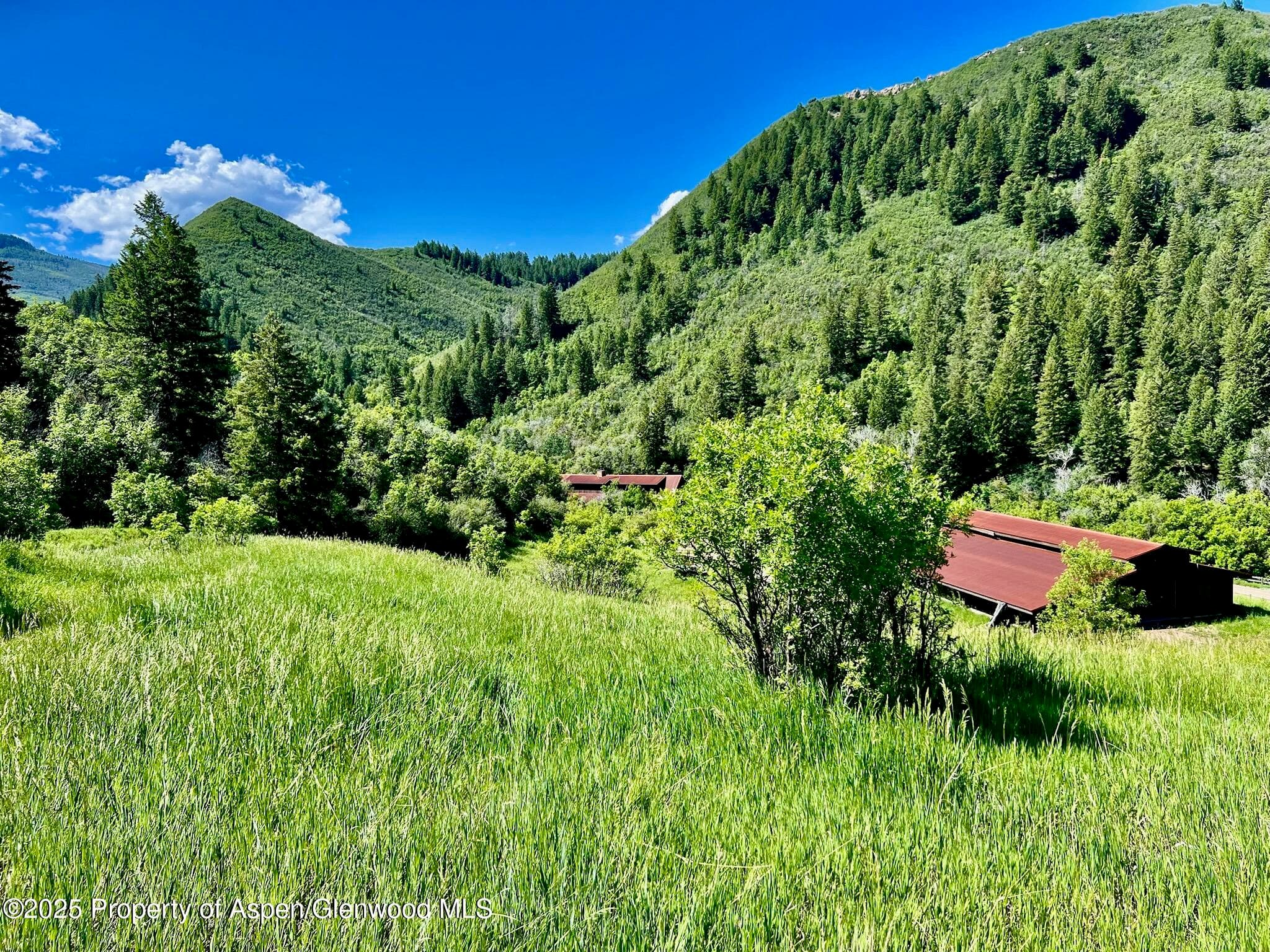 3465 134 County Road, Glenwood Springs, CO 81601 - Photo 2