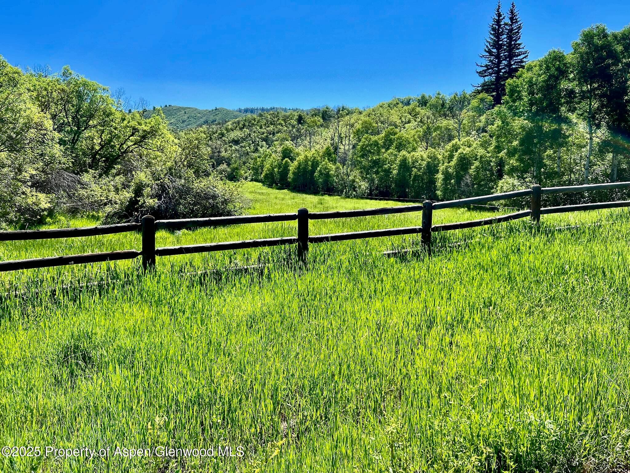 3465 134 County Road, Glenwood Springs, CO 81601 - Photo 5