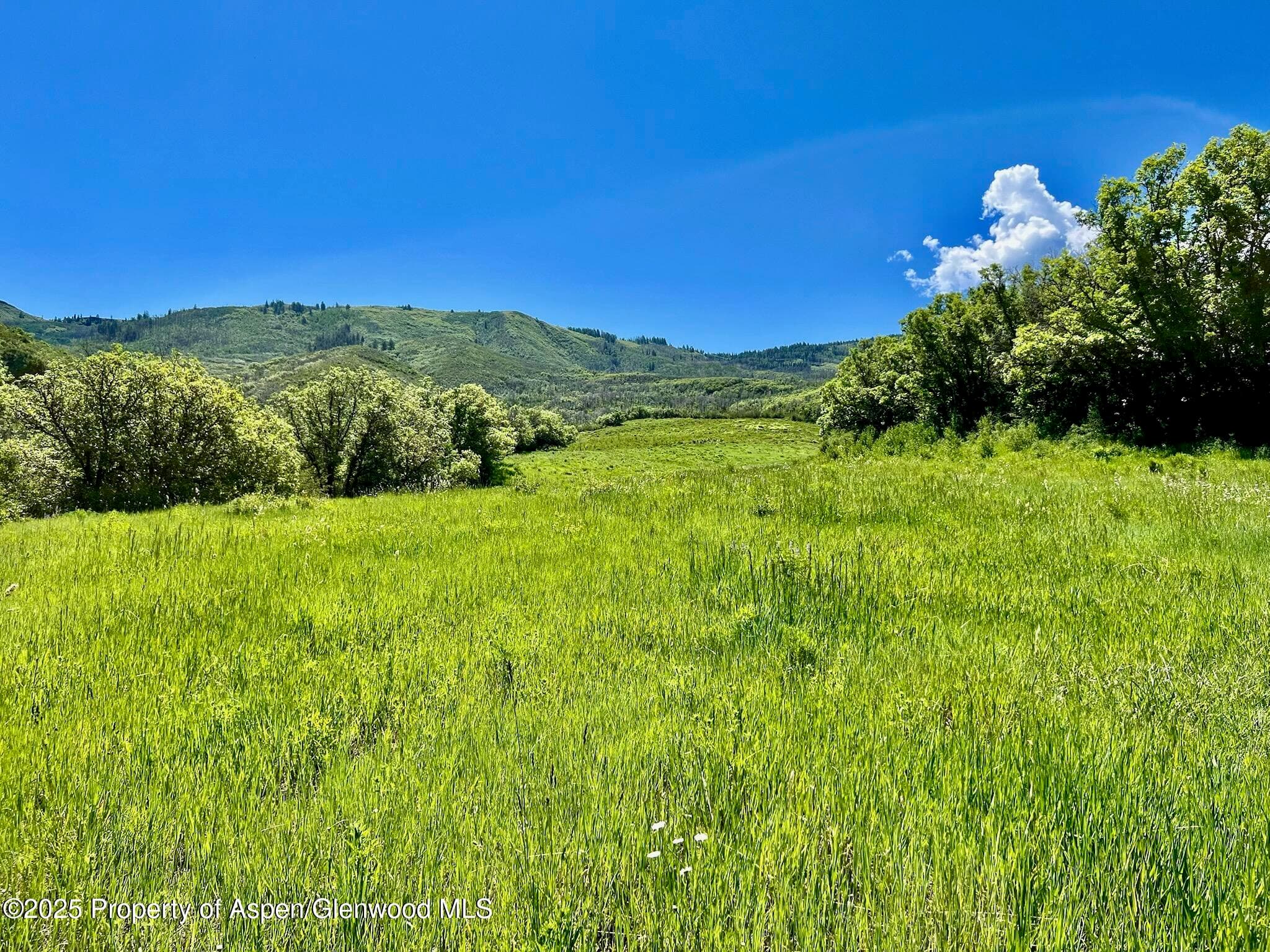 3465 134 County Road, Glenwood Springs, CO 81601 - Photo 8