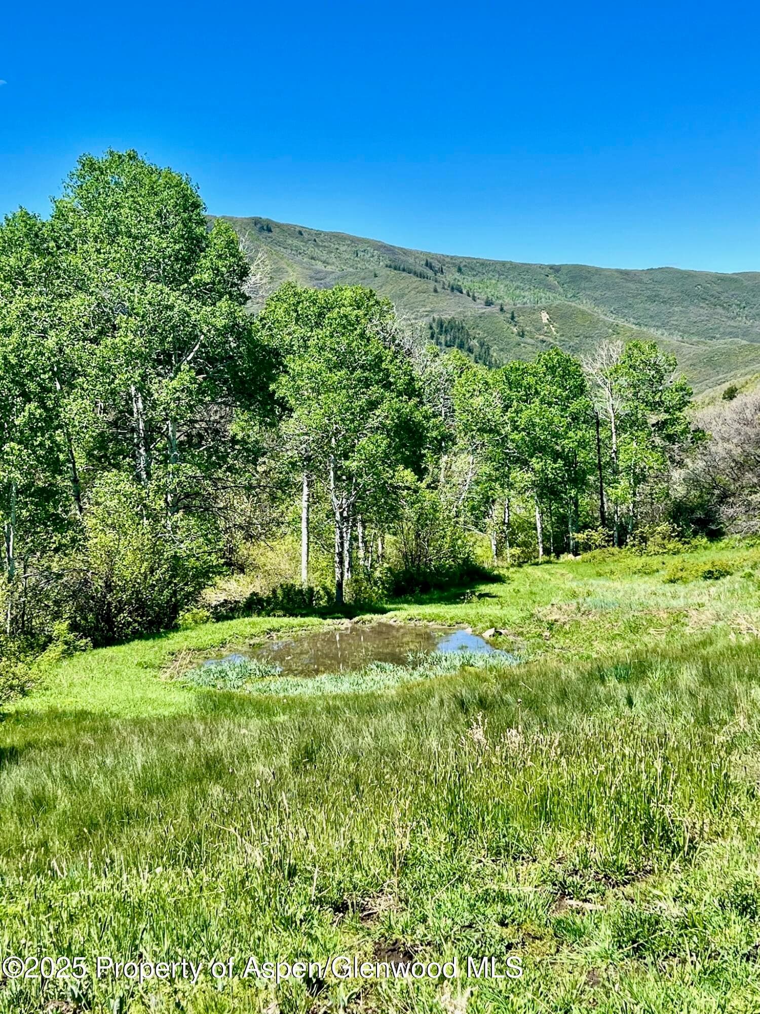 3465 134 County Road, Glenwood Springs, CO 81601 - Photo 11