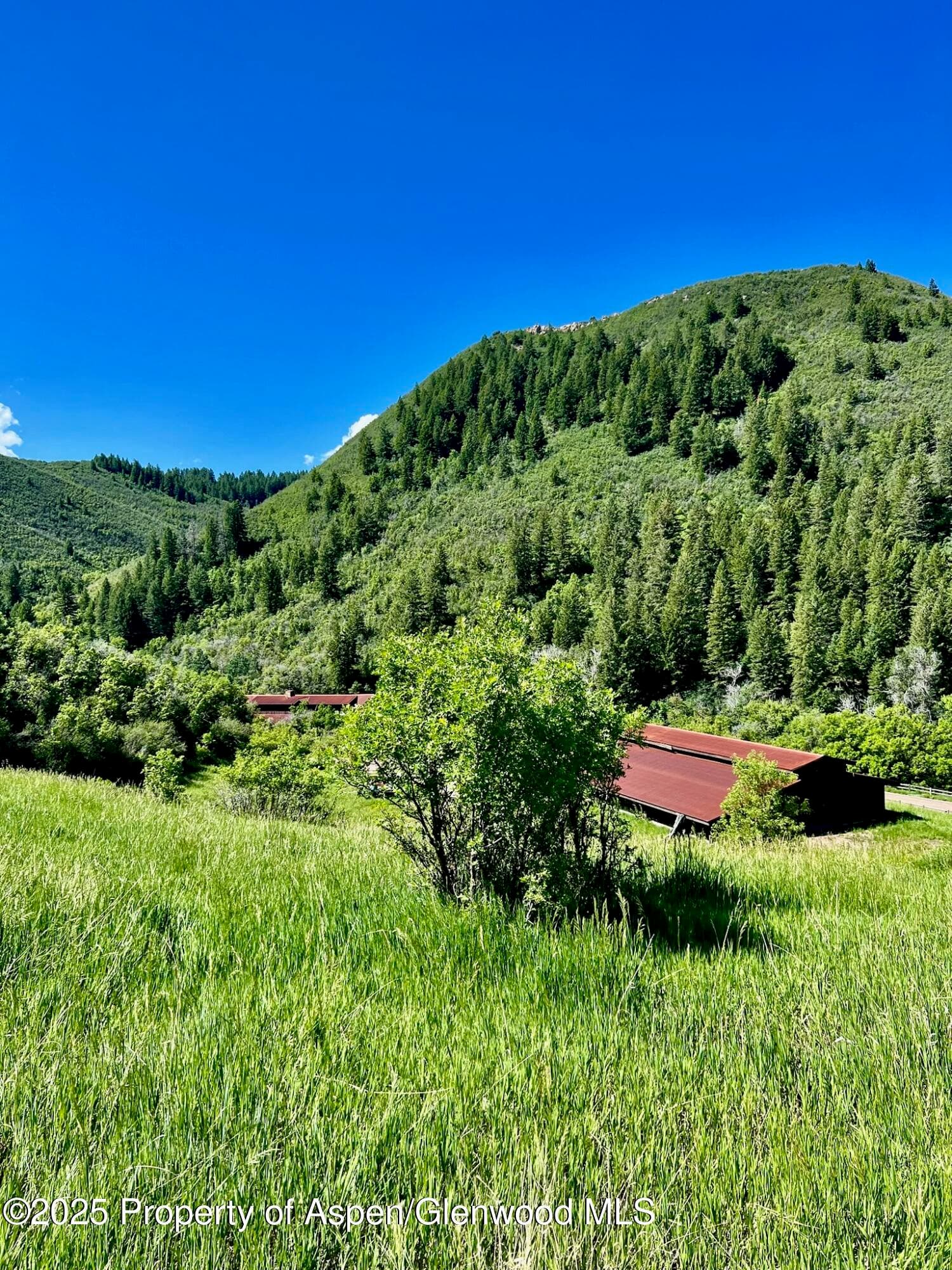 3465 134 County Road, Glenwood Springs, CO 81601 - Photo 19