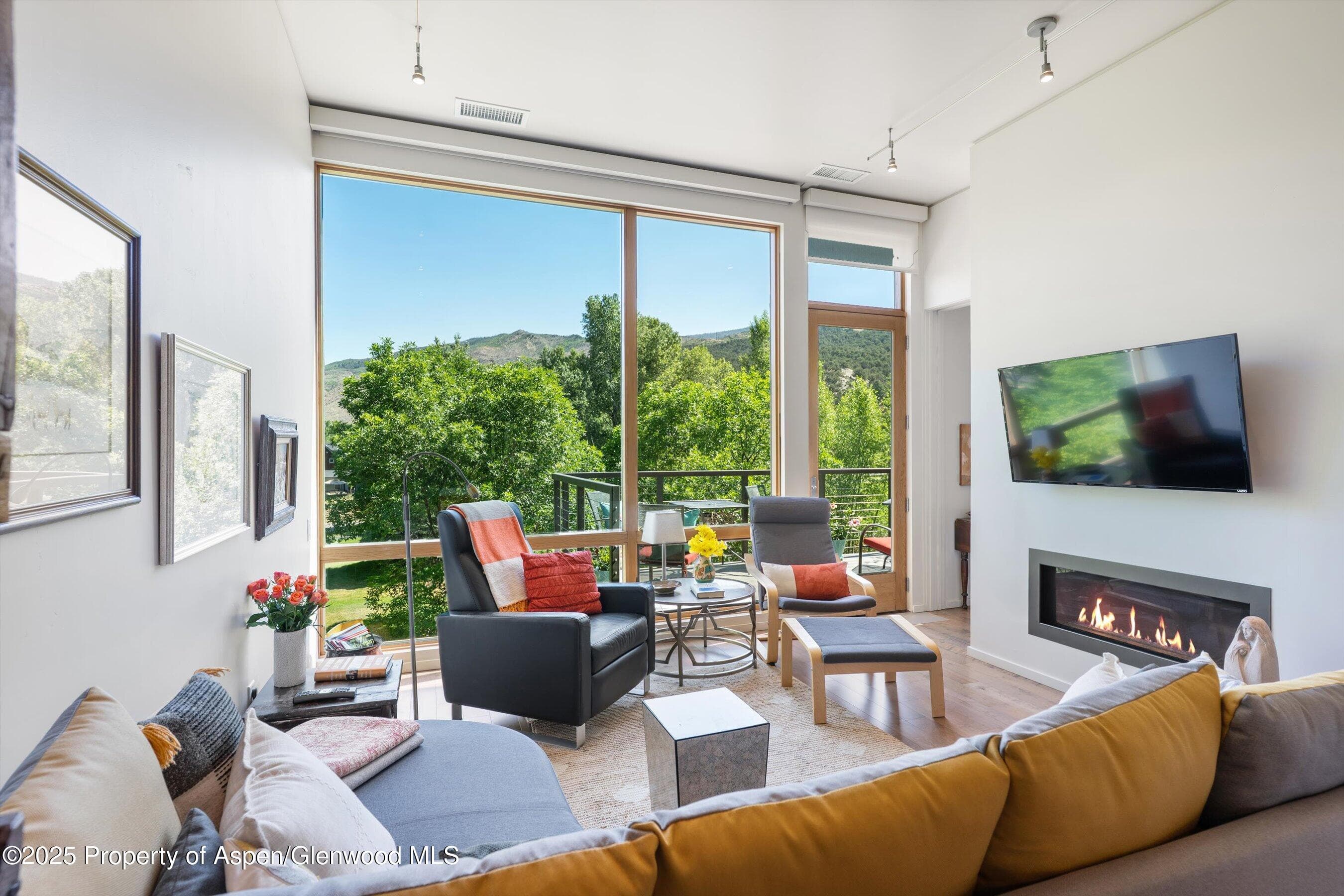 202 Evans Road 202, Basalt, CO 81621 - Photo 7