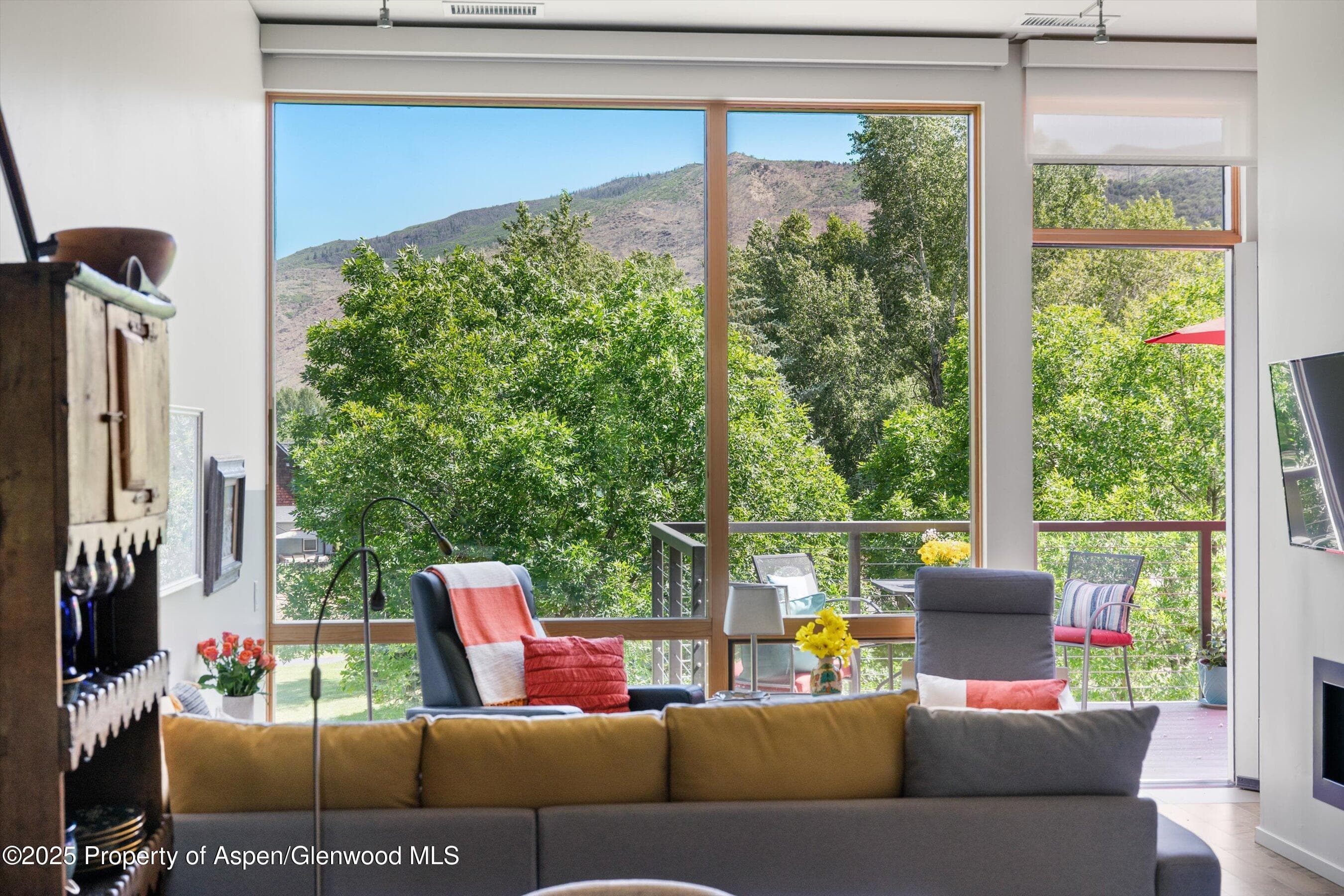 202 Evans Road 202, Basalt, CO 81621 - Photo 8