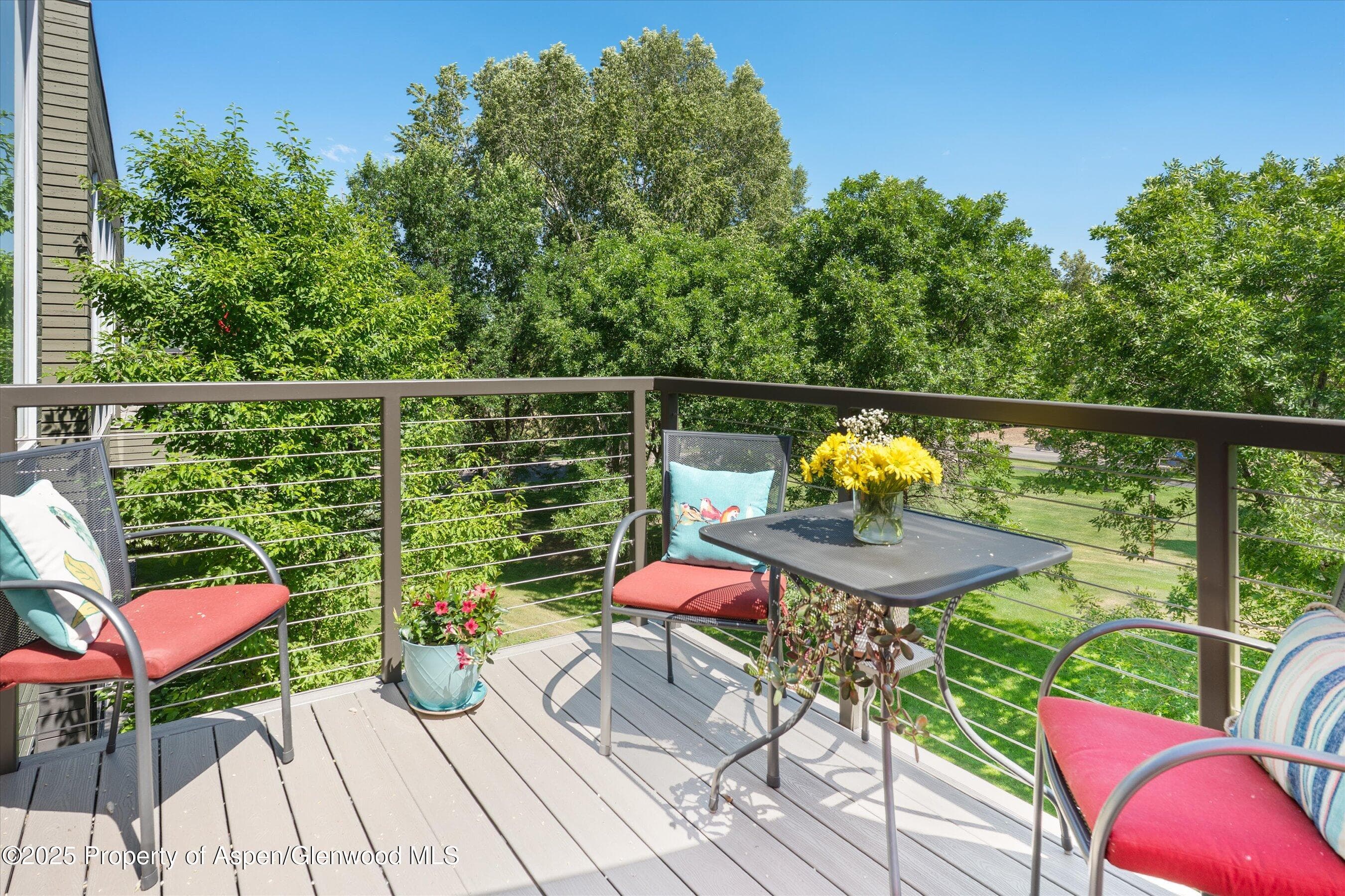 202 Evans Road 202, Basalt, CO 81621 - Photo 16
