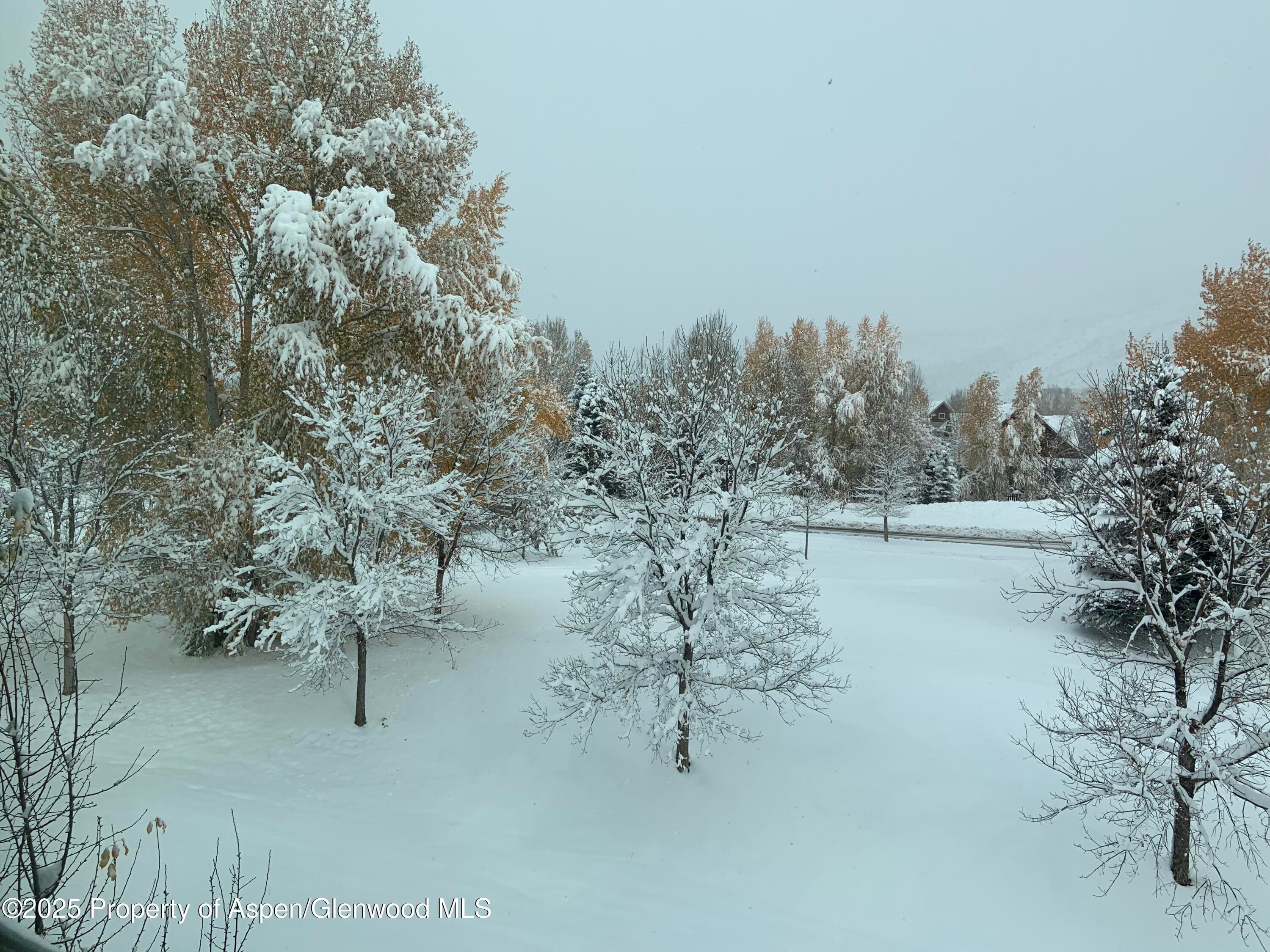 202 Evans Road 202, Basalt, CO 81621 - Photo 20