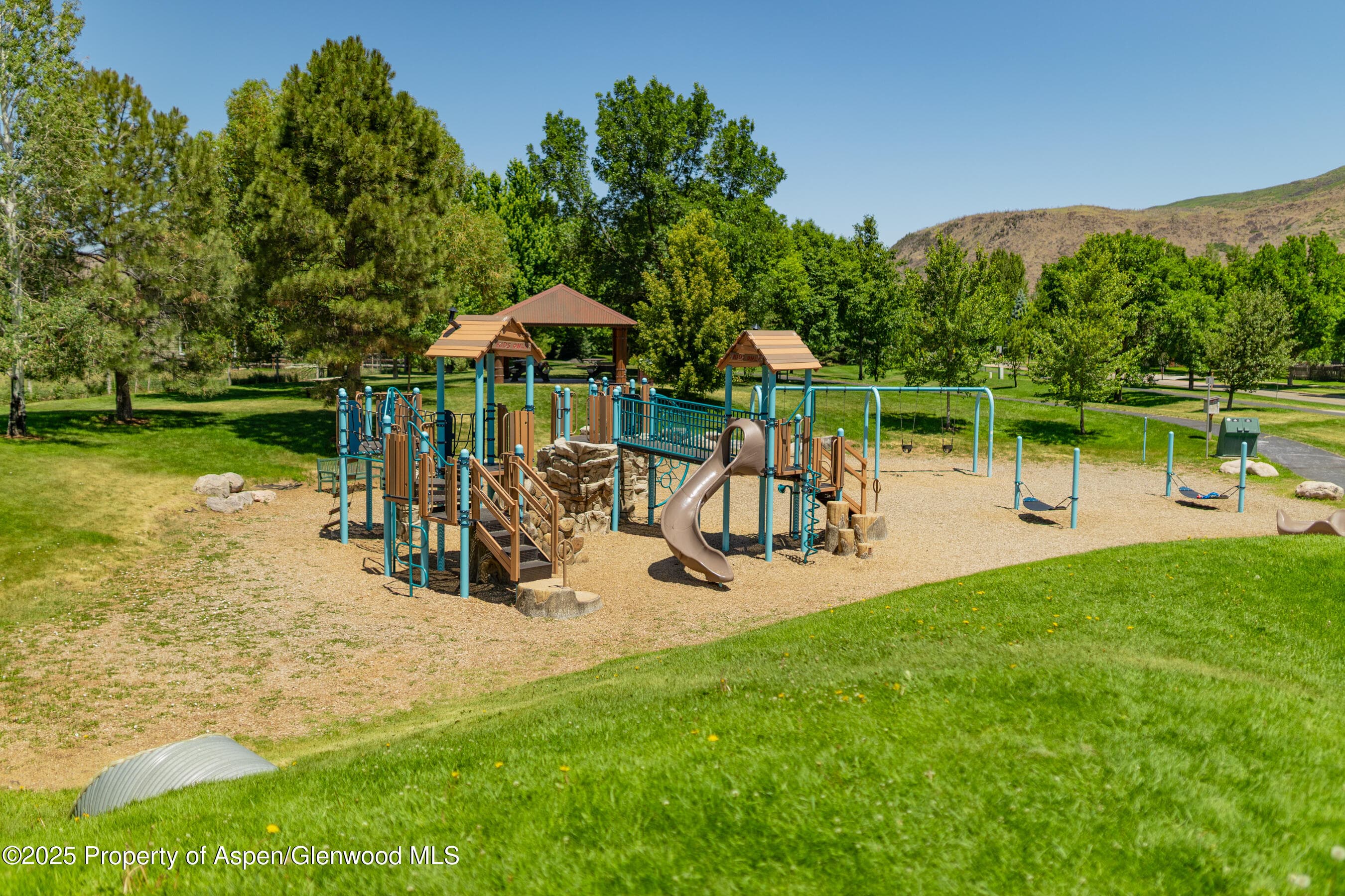 202 Evans Road 202, Basalt, CO 81621 - Photo 29