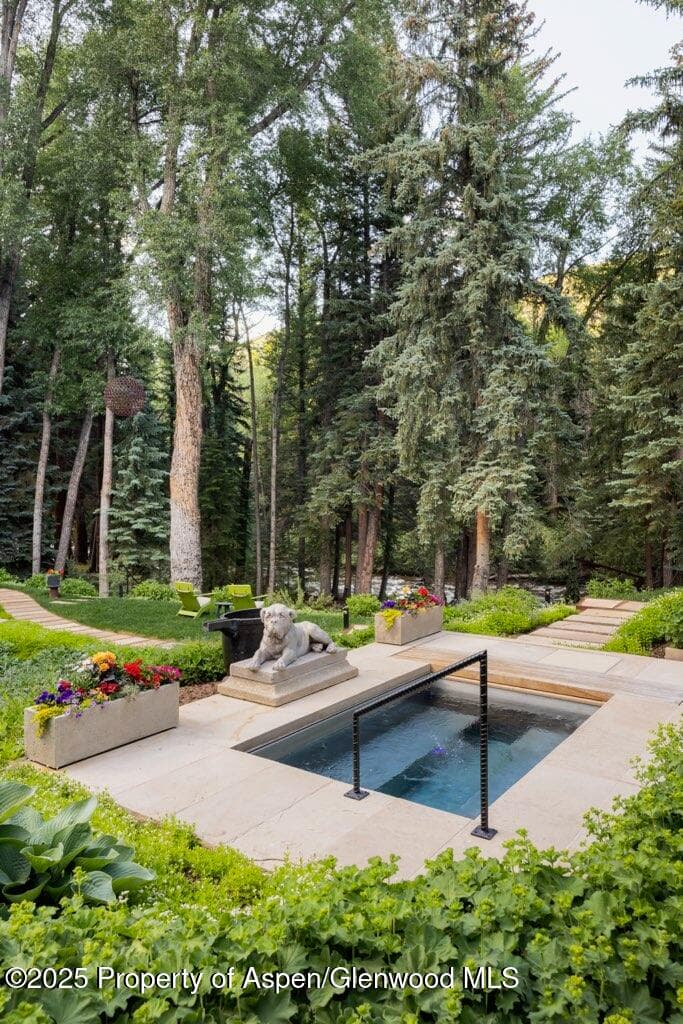 1310 Red Butte Drive, Aspen, CO 81611 - Photo 18