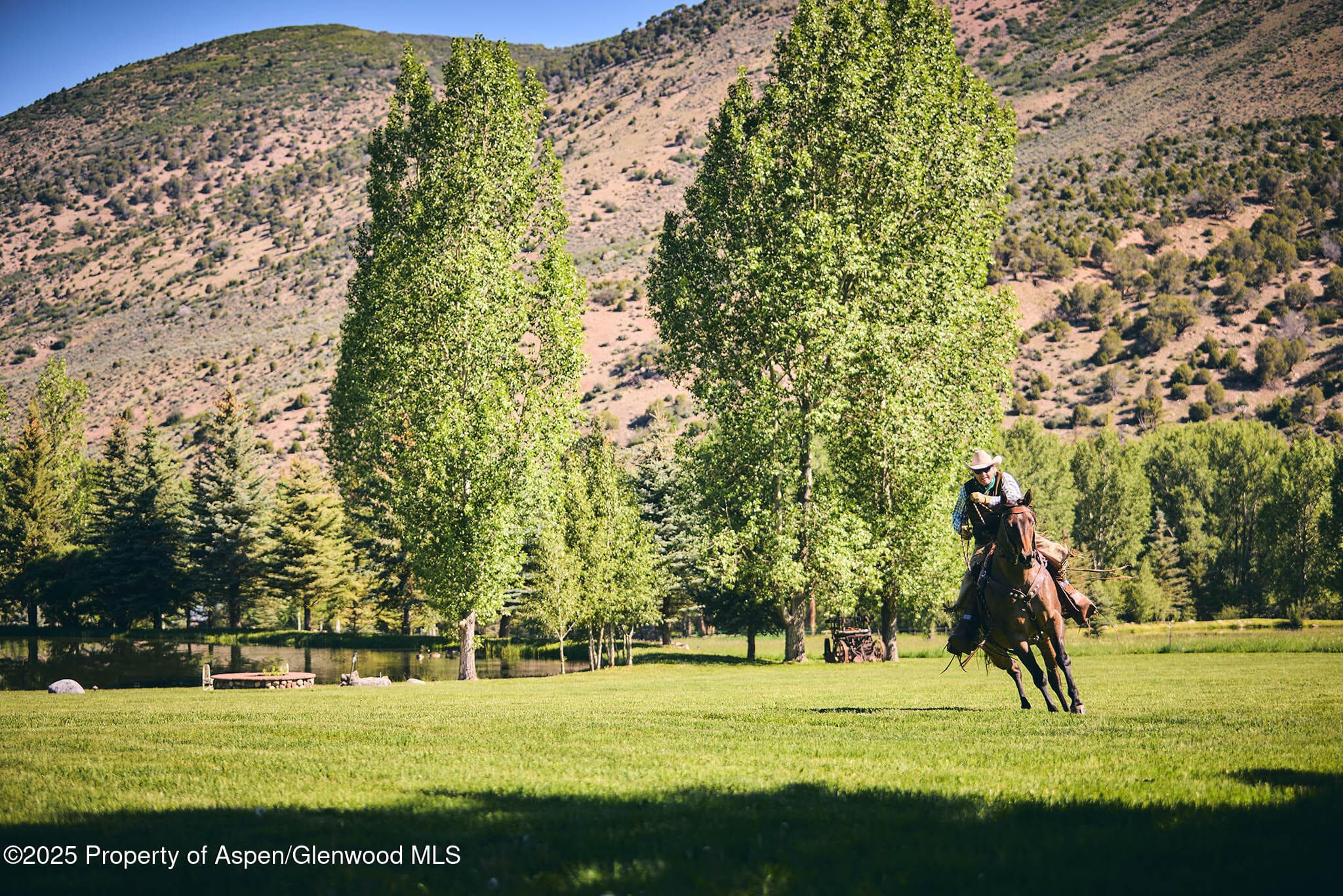 3333 Snowmass Creek Road, Snowmass, CO 81654 - Photo 37