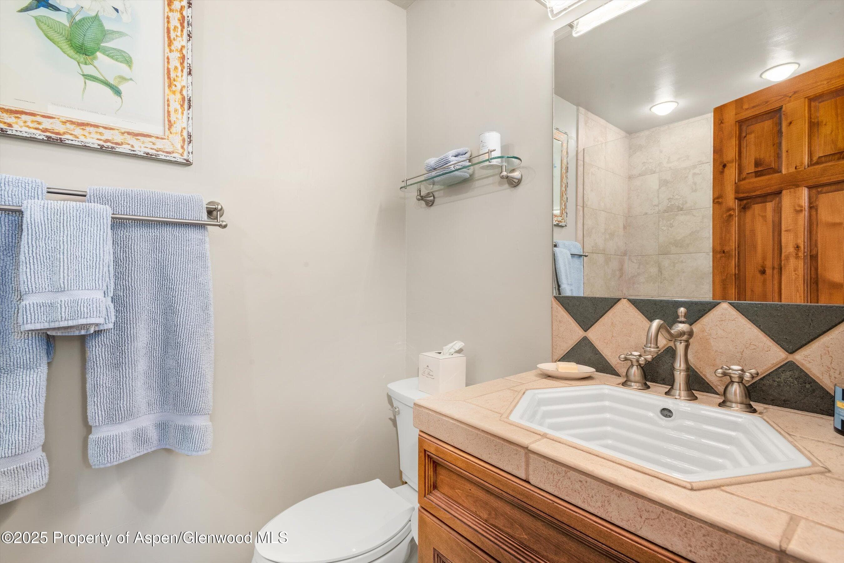 625 BROOKIE, Carbondale, CO 81623 - Photo 28