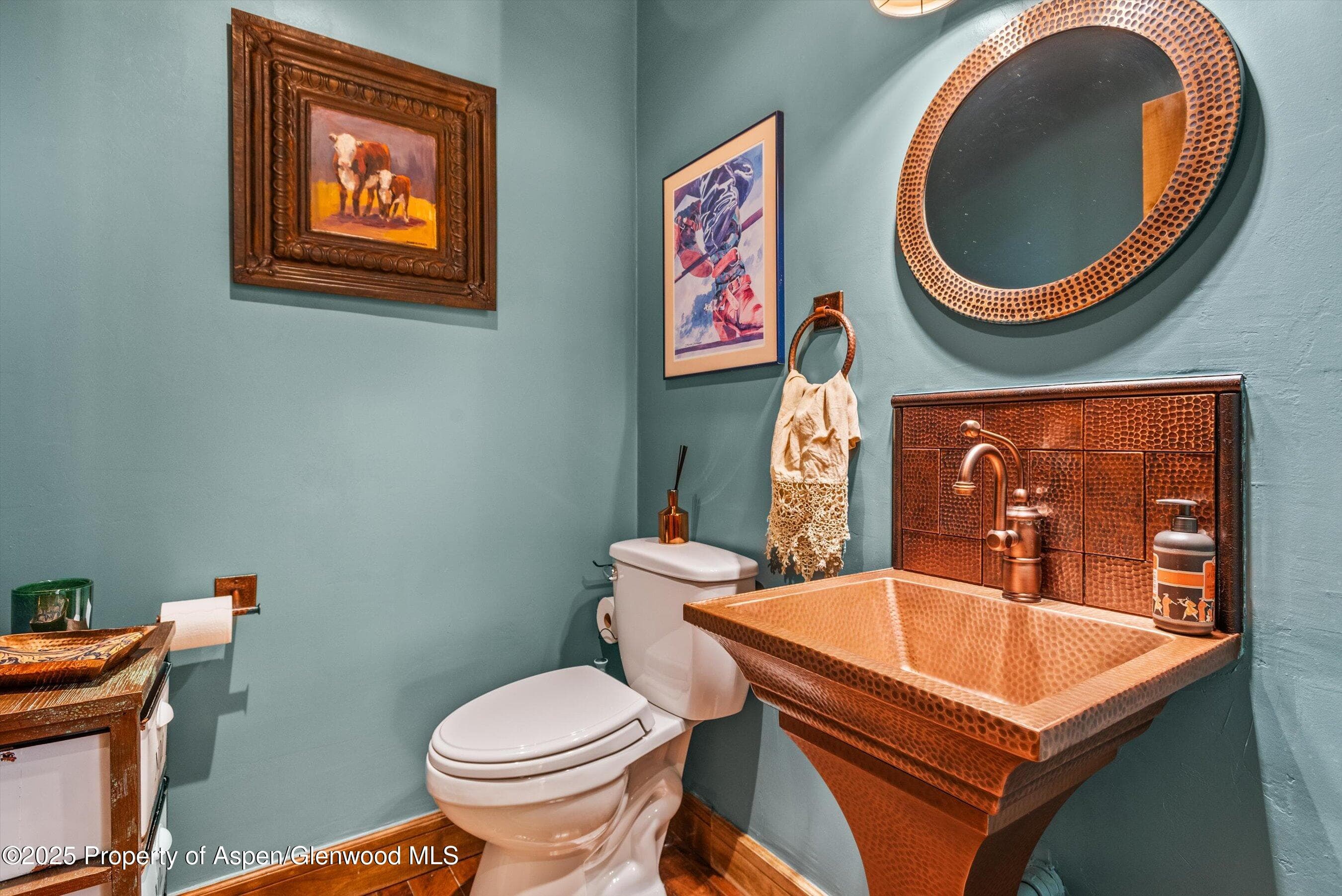 625 BROOKIE, Carbondale, CO 81623 - Photo 17