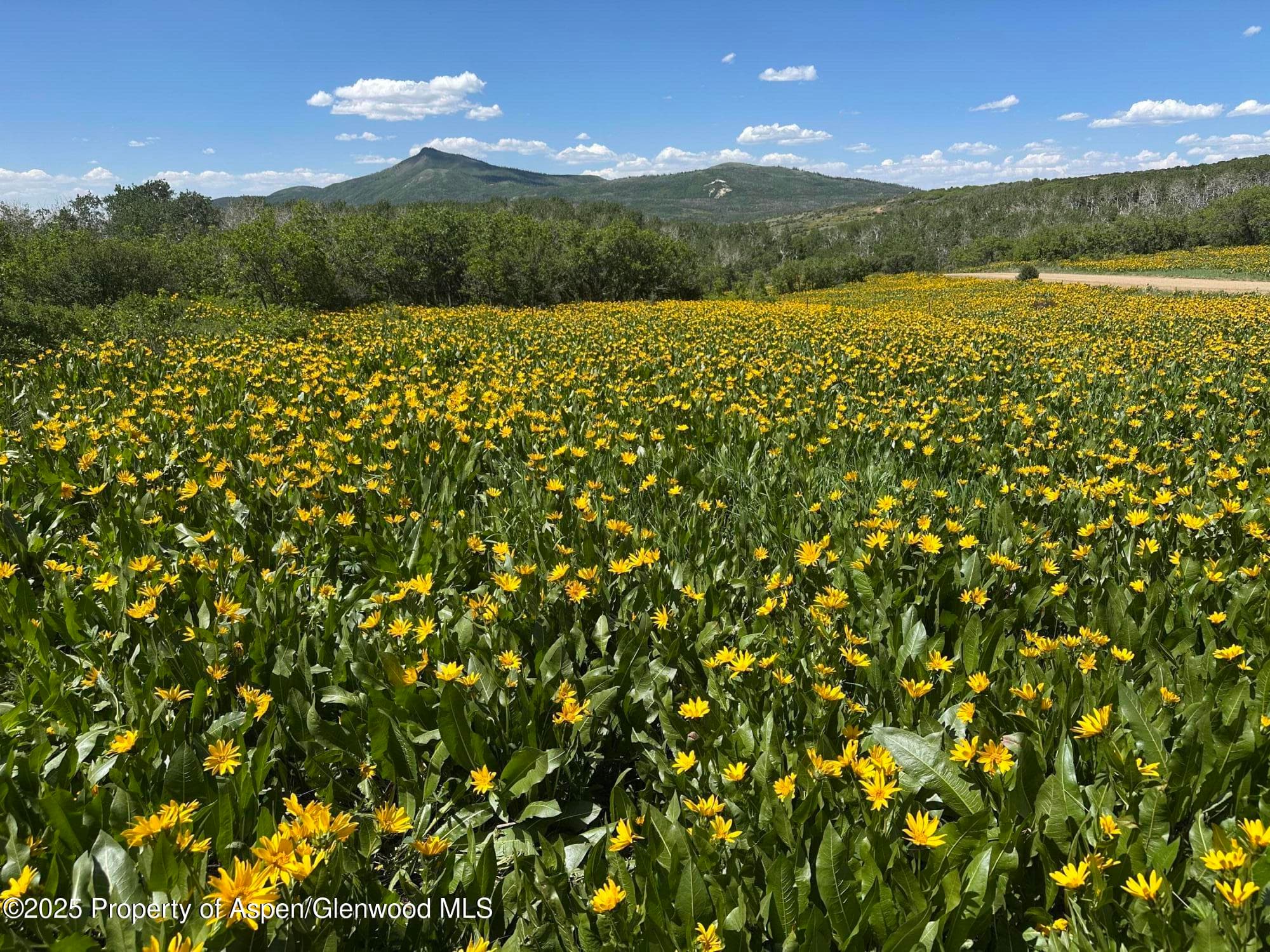 2025 Timberlane Drive, Craig, CO 81625 - Photo 15