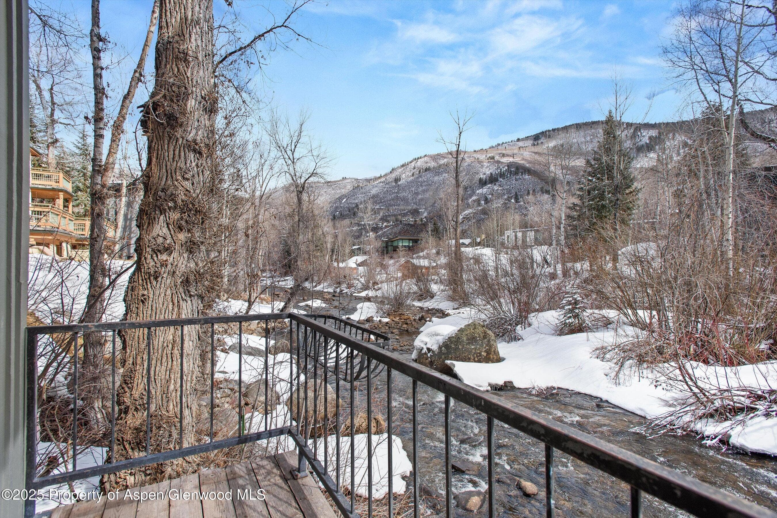 1050 Waters Avenue 9, Aspen, CO 81611 - Photo 2