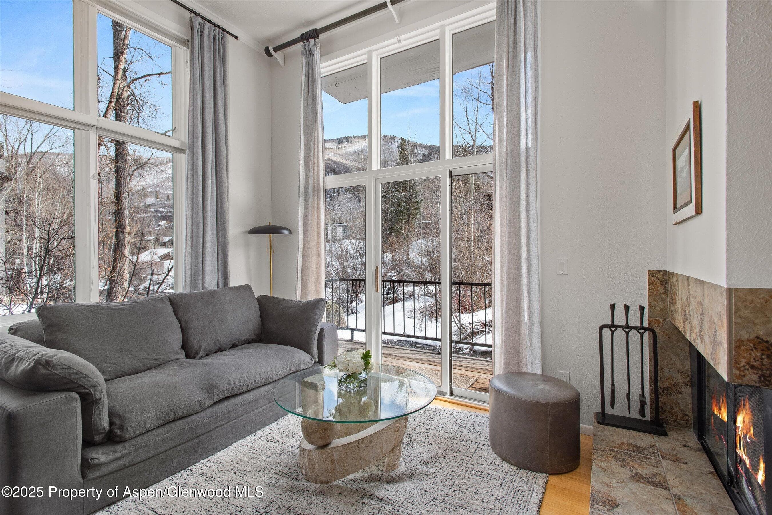 1050 Waters Avenue 9, Aspen, CO 81611 - Photo 3