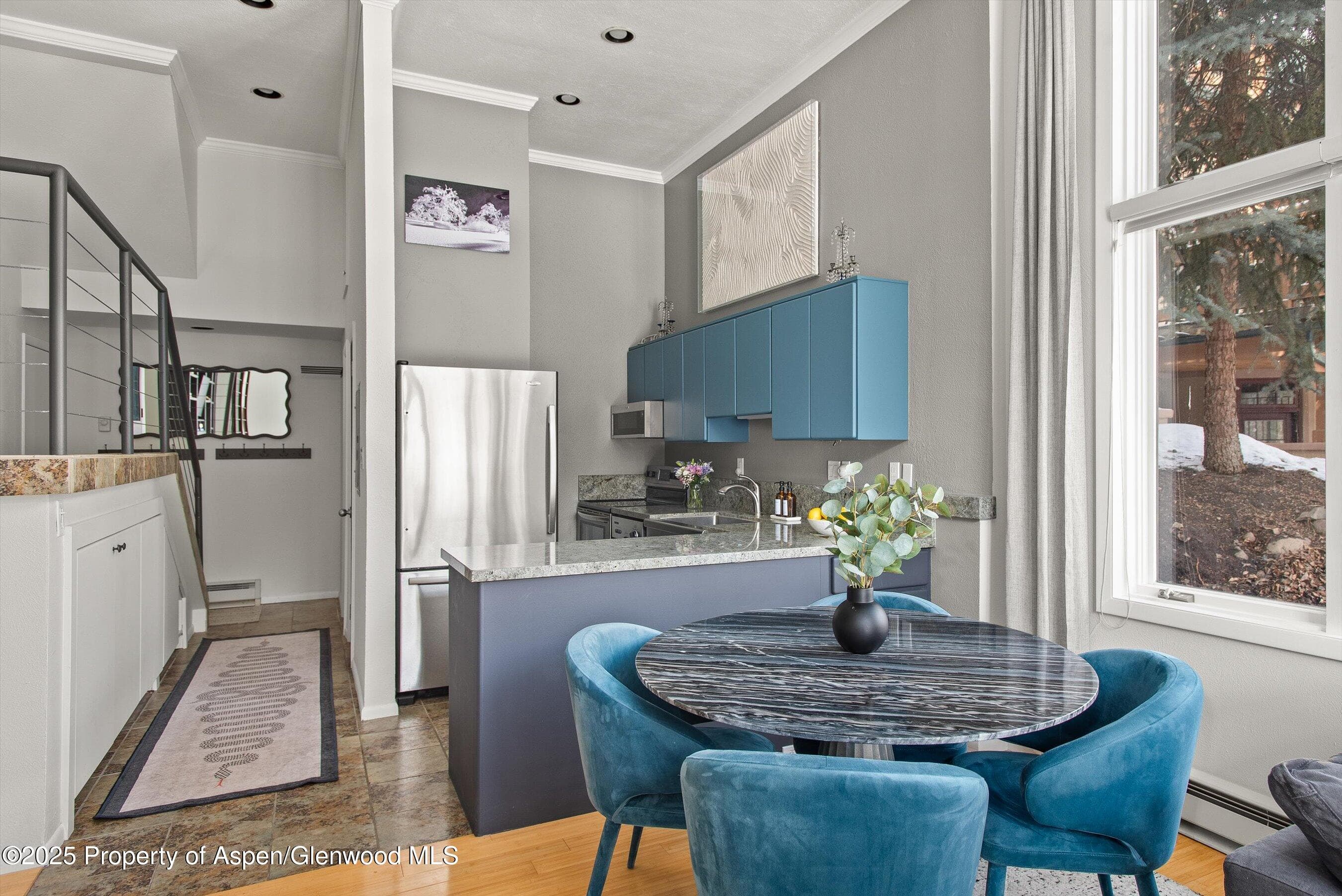 1050 Waters Avenue 9, Aspen, CO 81611 - Photo 7