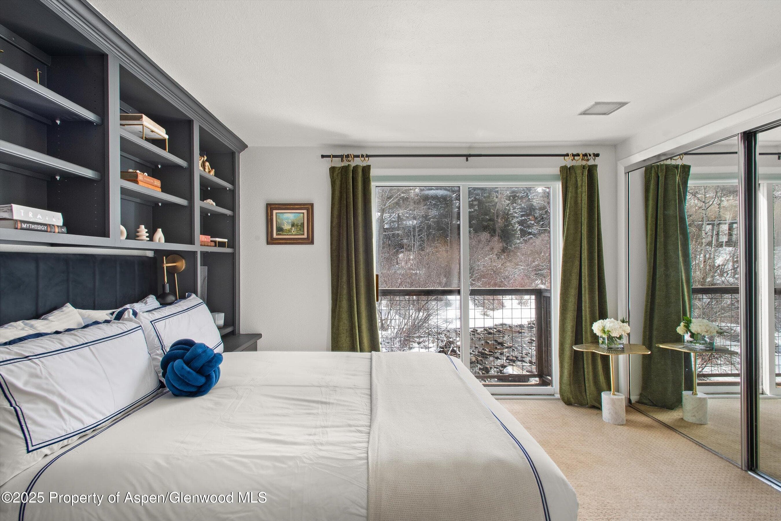 1050 Waters Avenue 9, Aspen, CO 81611 - Photo 8