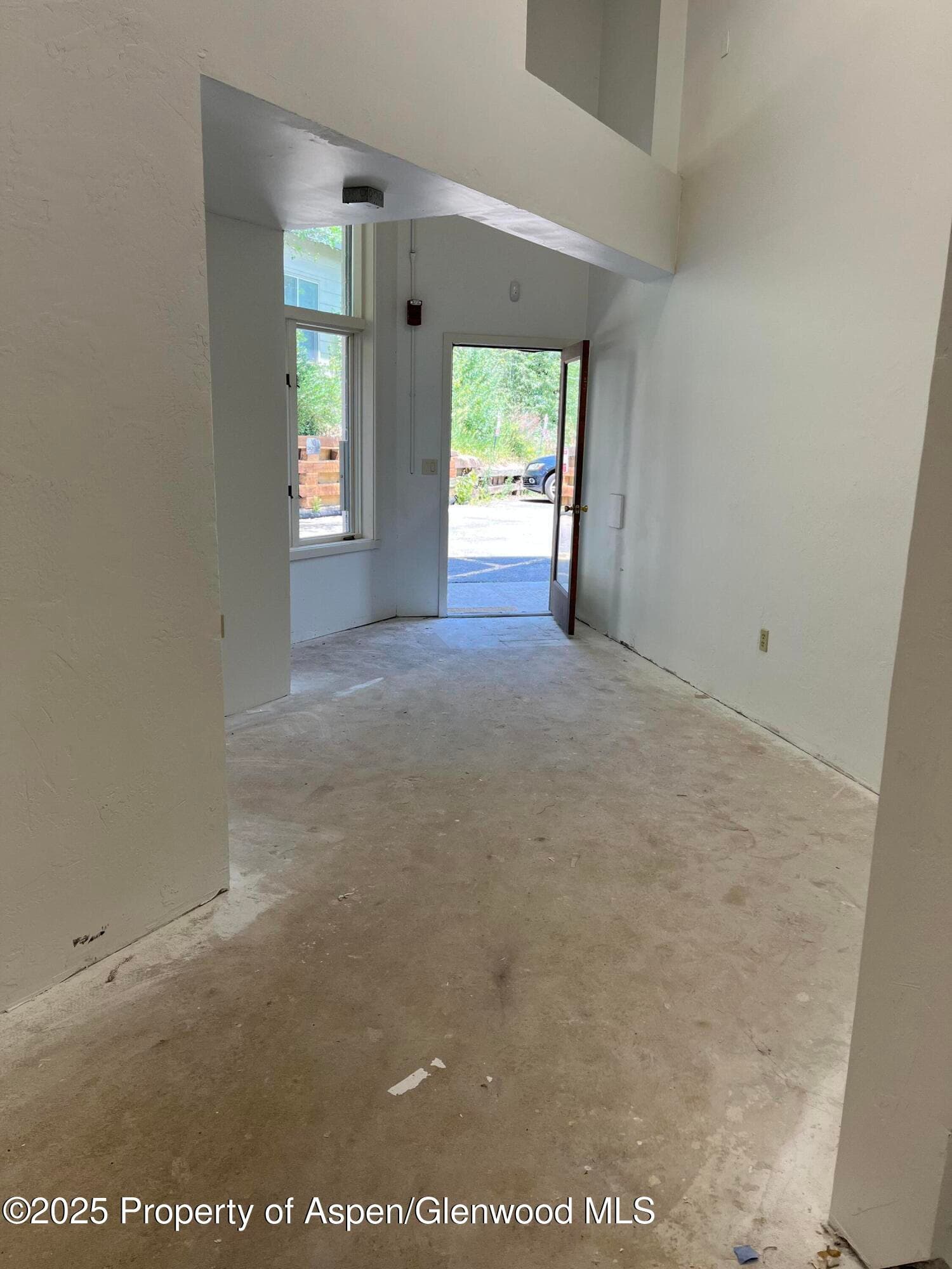 209 Ventnor A, Aspen, CO 81611 - Photo 8