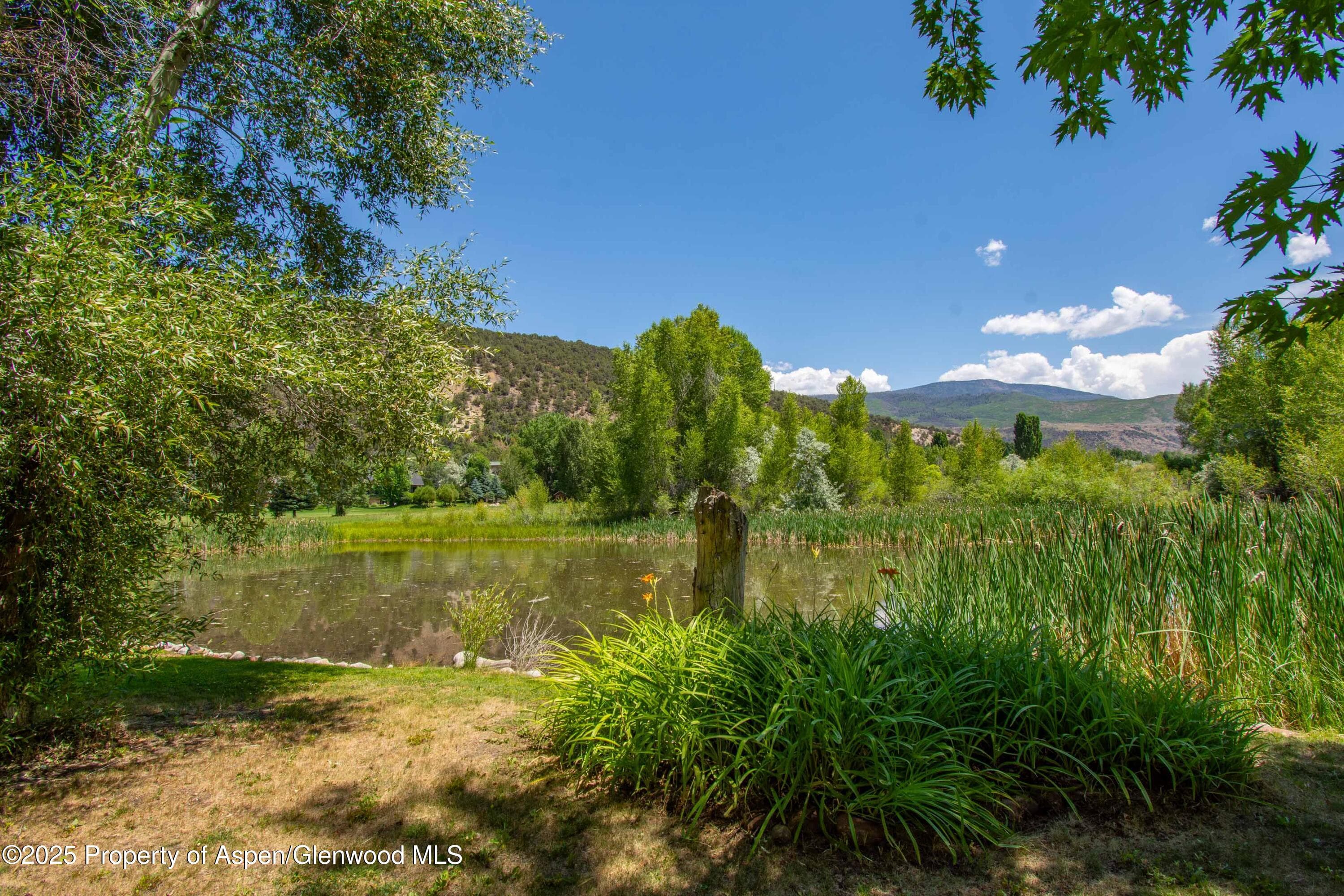165 Dakota Meadows Drive, Carbondale, CO 81623 - Photo 24