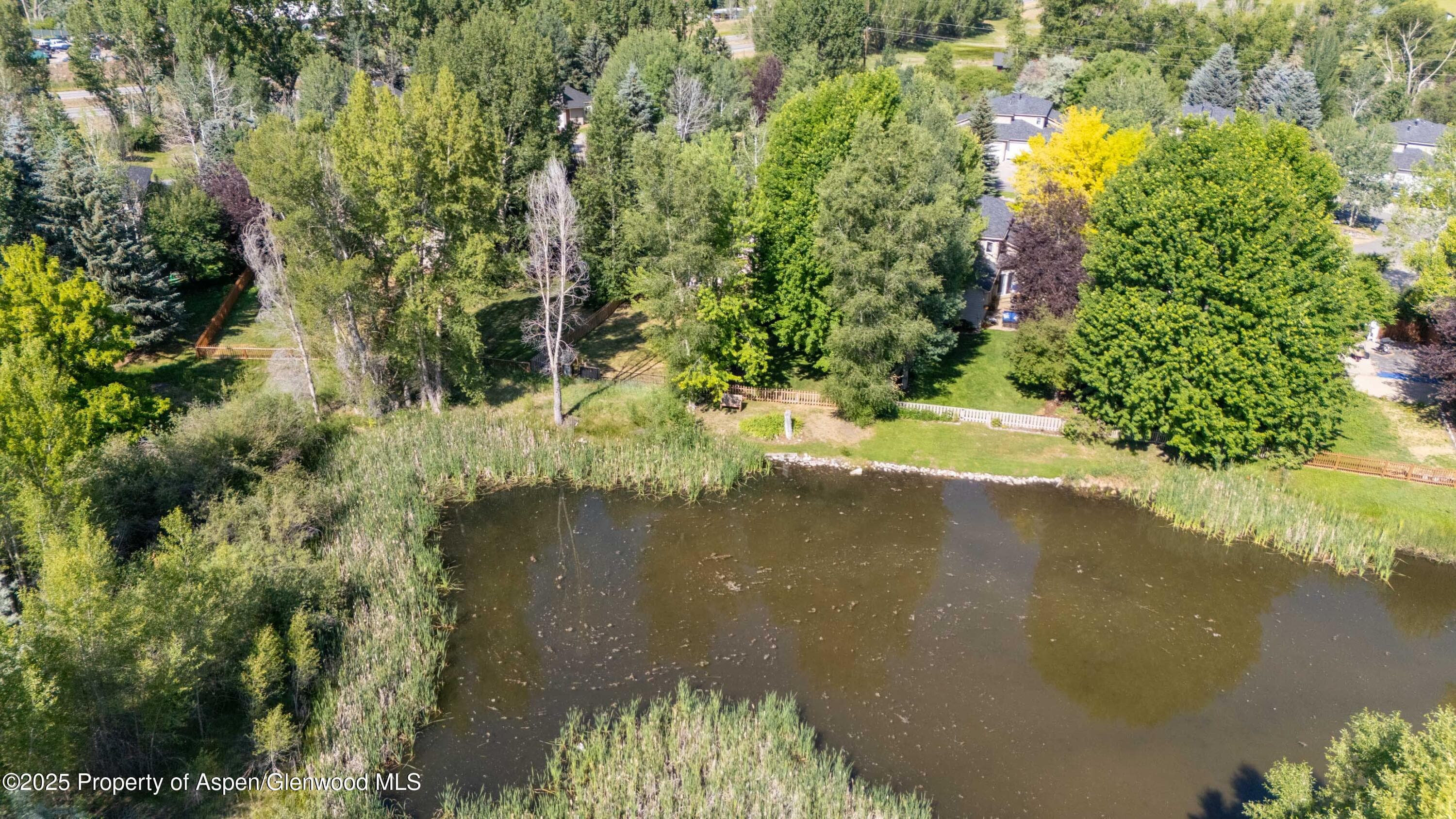 165 Dakota Meadows Drive, Carbondale, CO 81623 - Photo 28