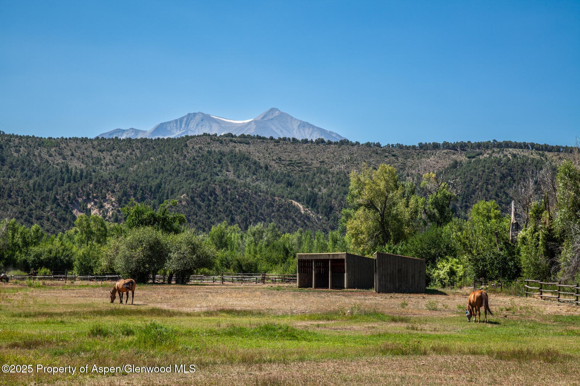 14913 Hwy 82 275, Carbondale, CO 81623 - Photo 22