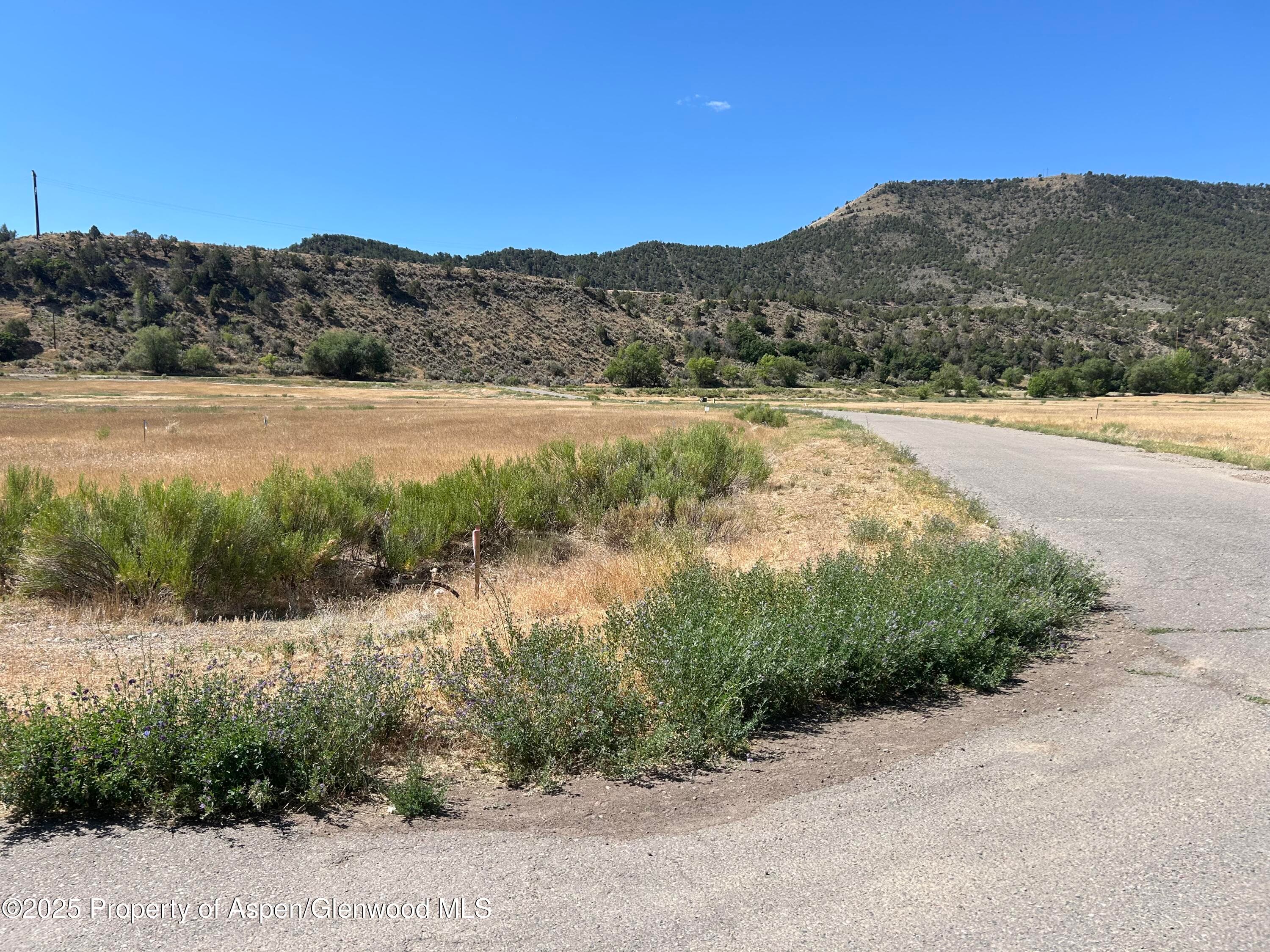 Lot 21-Tbd Rapids View Lane, New Castle, CO 81647 - Photo 5