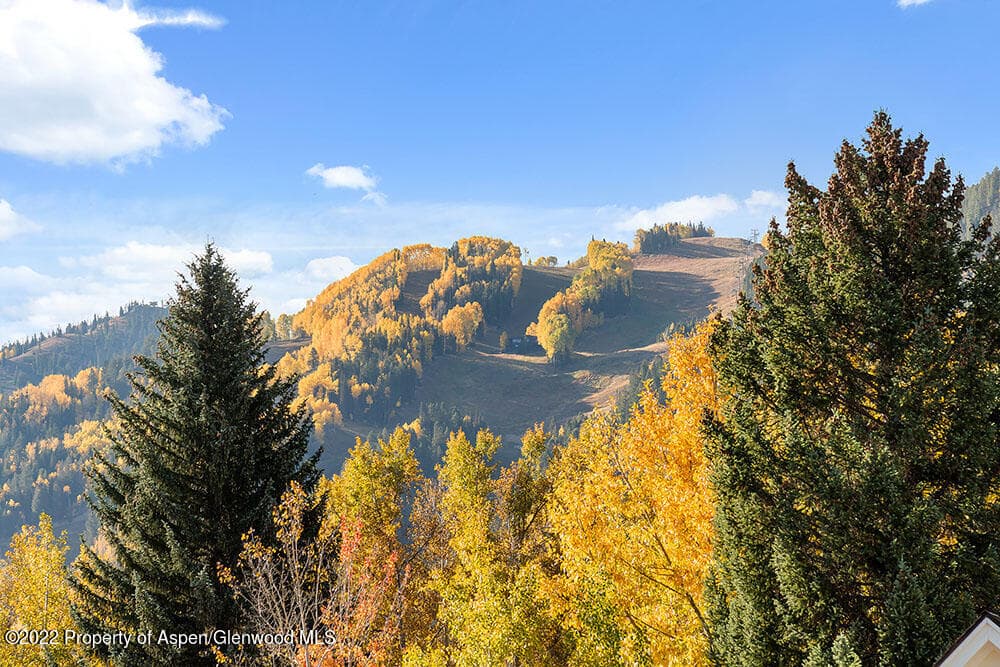 530 W Francis Street, Aspen, CO 81611 - Photo 7