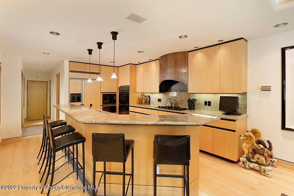 530 W Francis Street, Aspen, CO 81611 - Photo 15