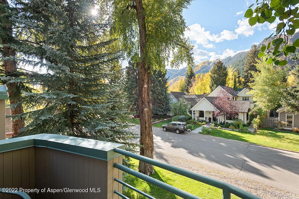 530 W Francis Street, Aspen, CO 81611 - Photo 24