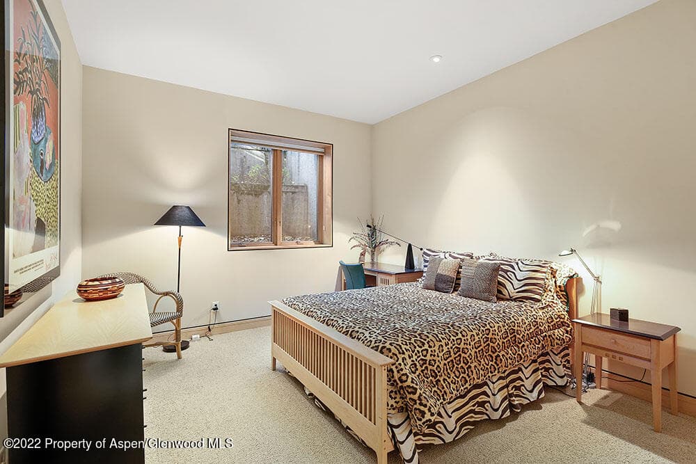 530 W Francis Street, Aspen, CO 81611 - Photo 29