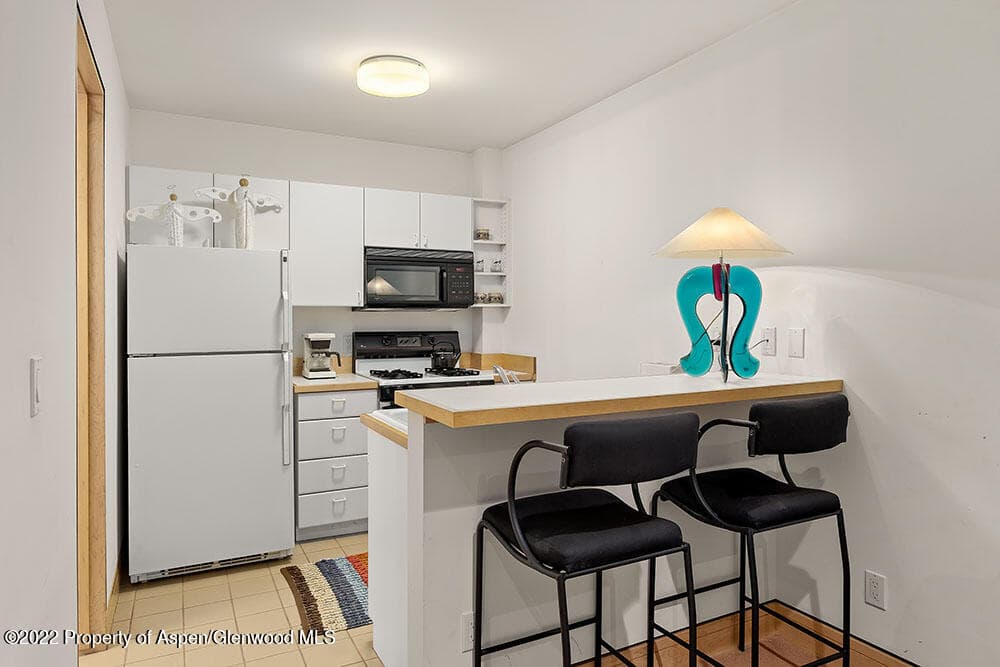530 W Francis Street, Aspen, CO 81611 - Photo 36