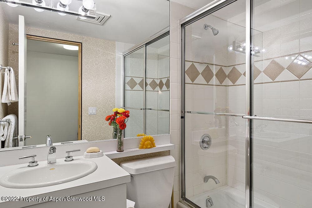 530 W Francis Street, Aspen, CO 81611 - Photo 26