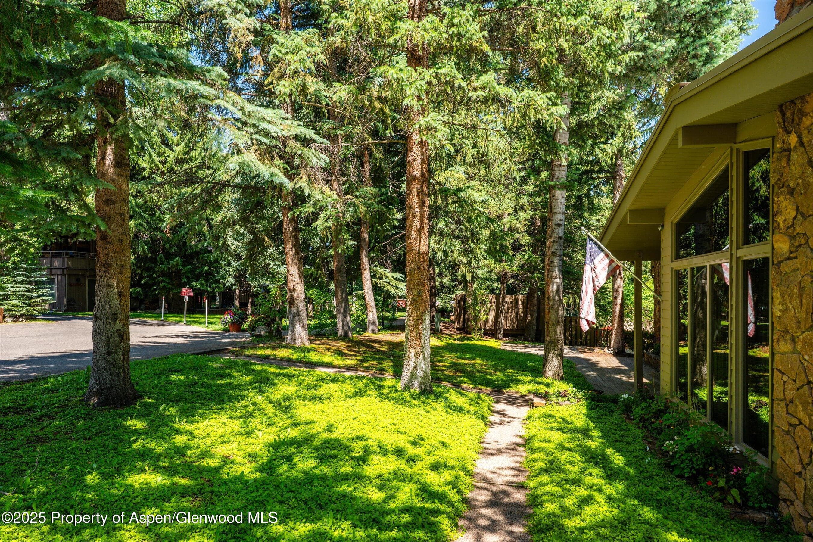 627 S Original Street, Aspen, CO 81611 - Photo 39