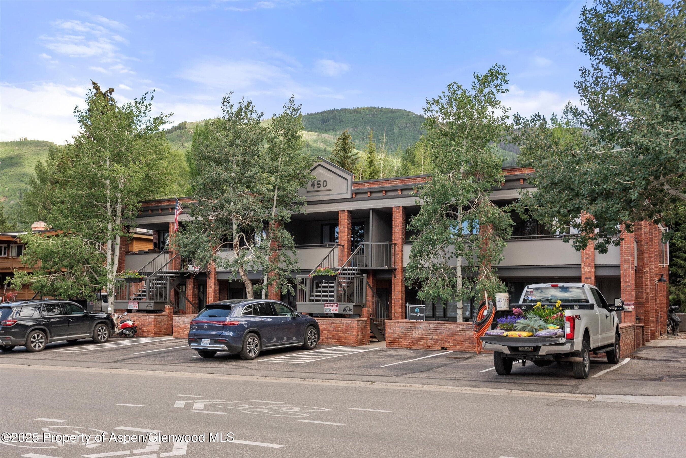 450 S Original Street #9, Aspen, CO 81611 - Photo 11