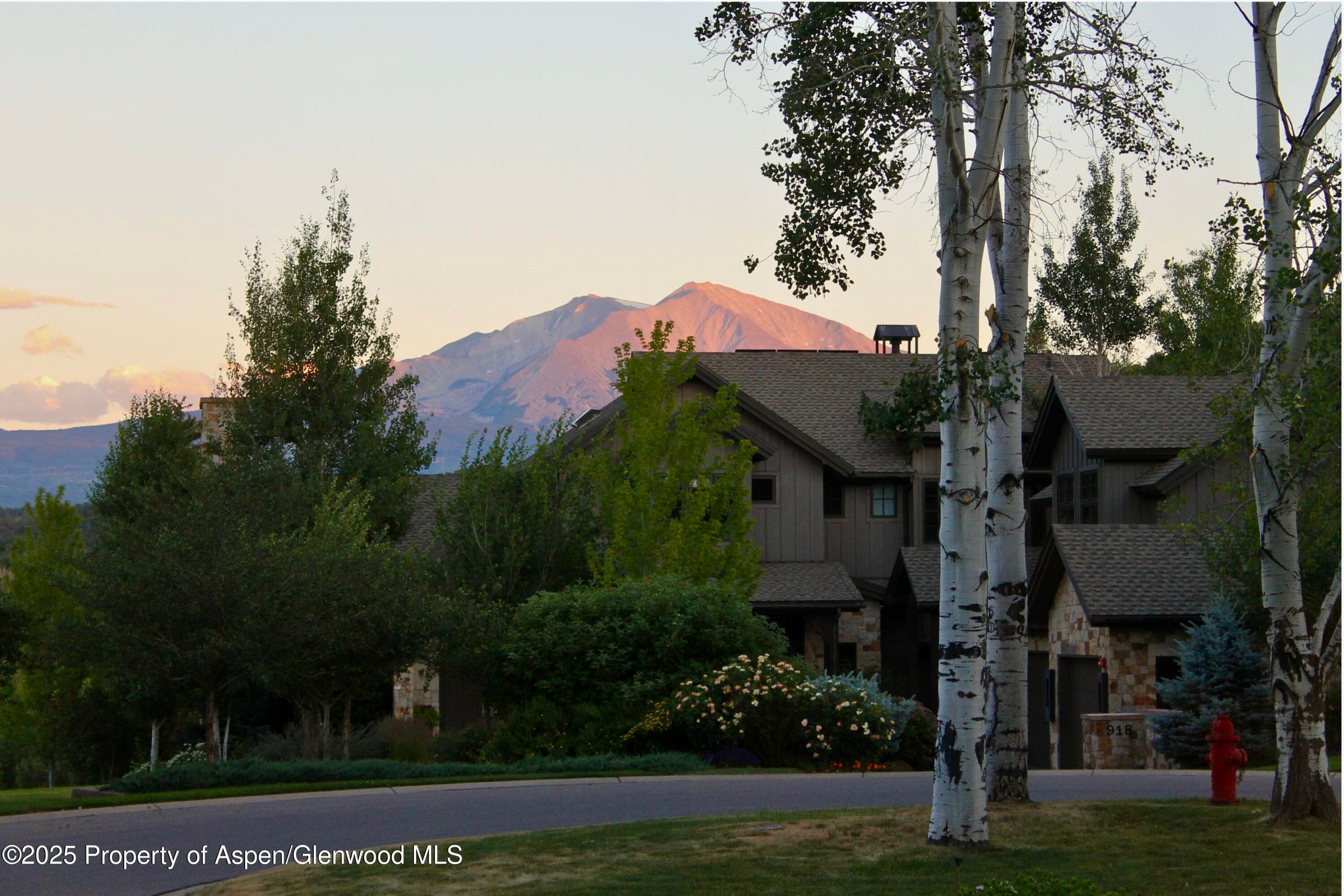625 BROOKIE, Carbondale, CO 81623 - Photo 35