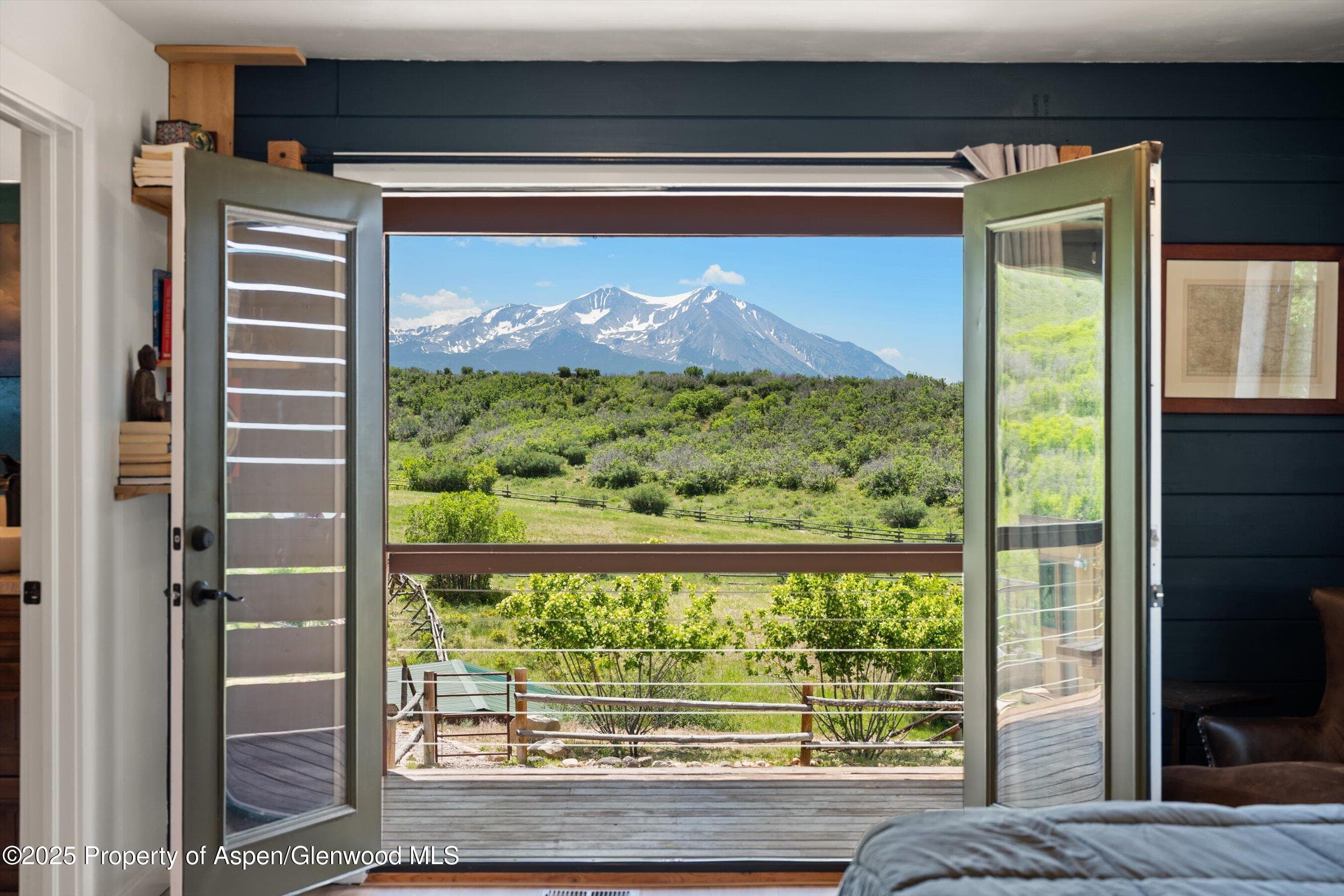 248 Basalt Mountain Drive, Carbondale, CO 81623 - Photo 28