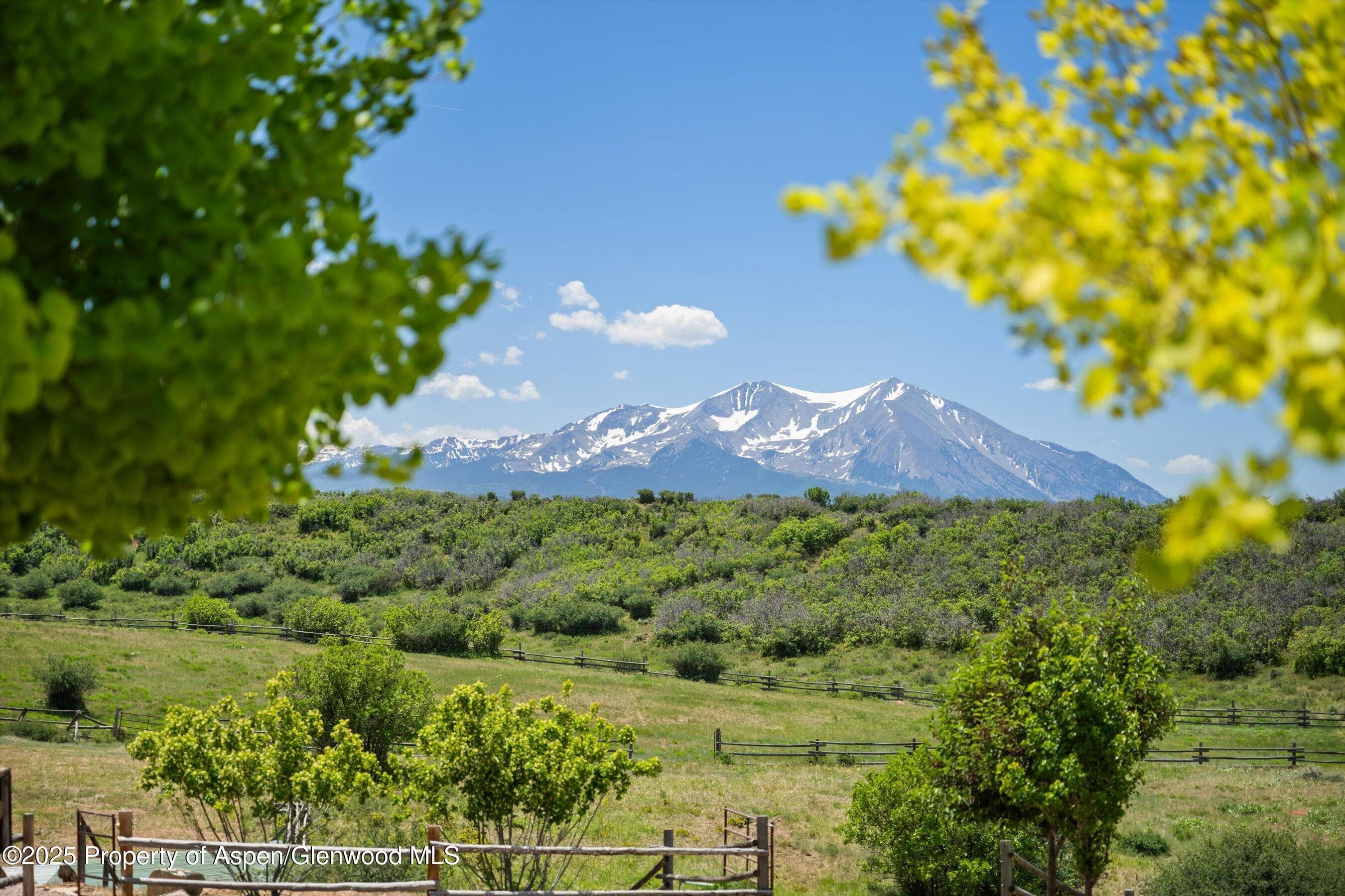 248 Basalt Mountain Drive, Carbondale, CO 81623 - Photo 52