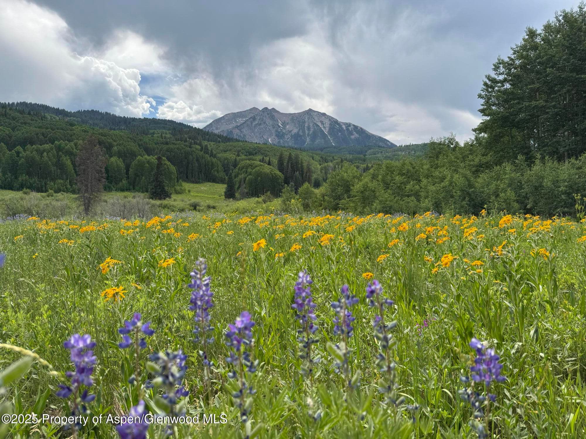 TDR TDR, Aspen, CO 81611 - Photo 1