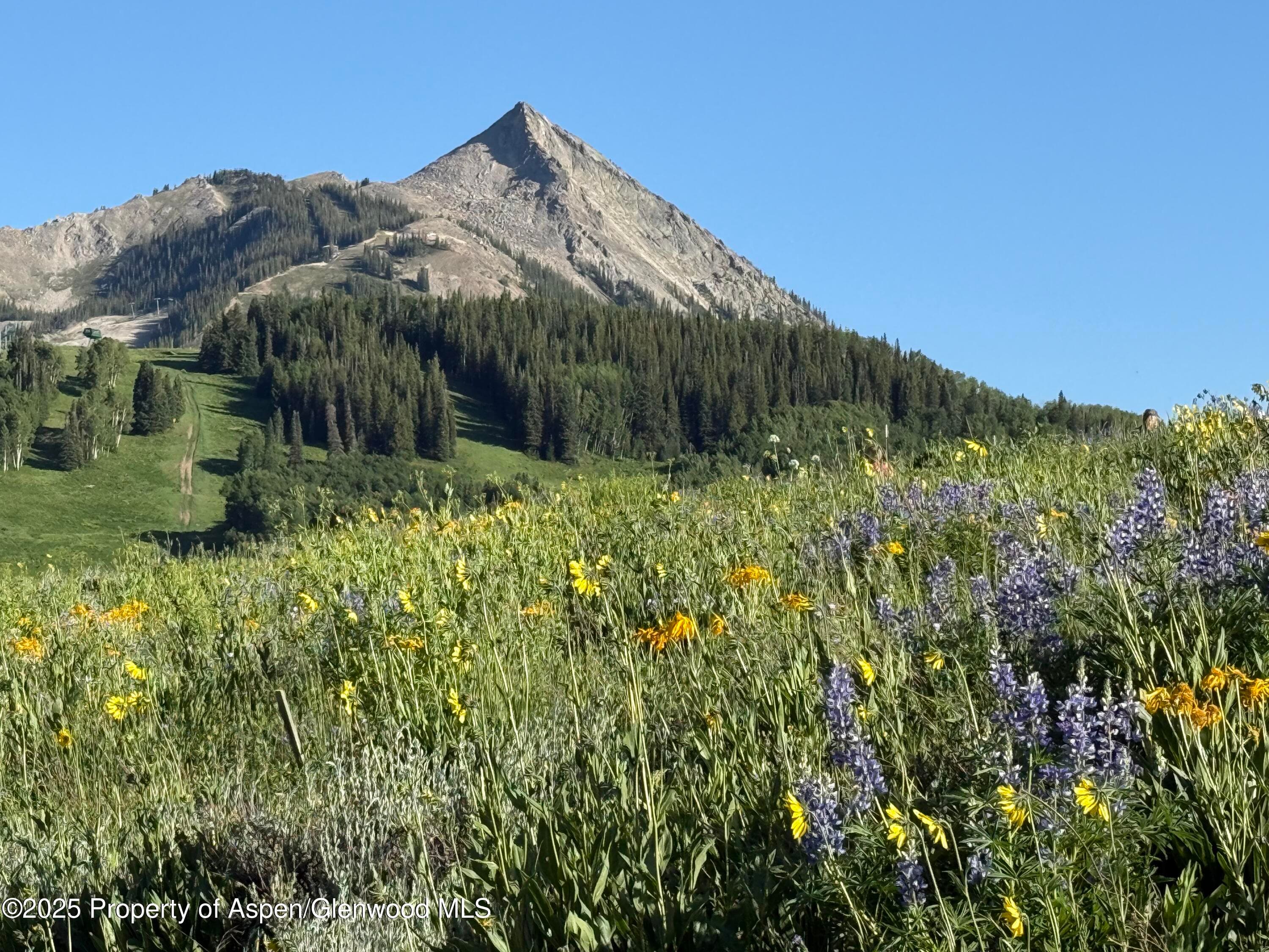 TDR TDR, Aspen, CO 81611