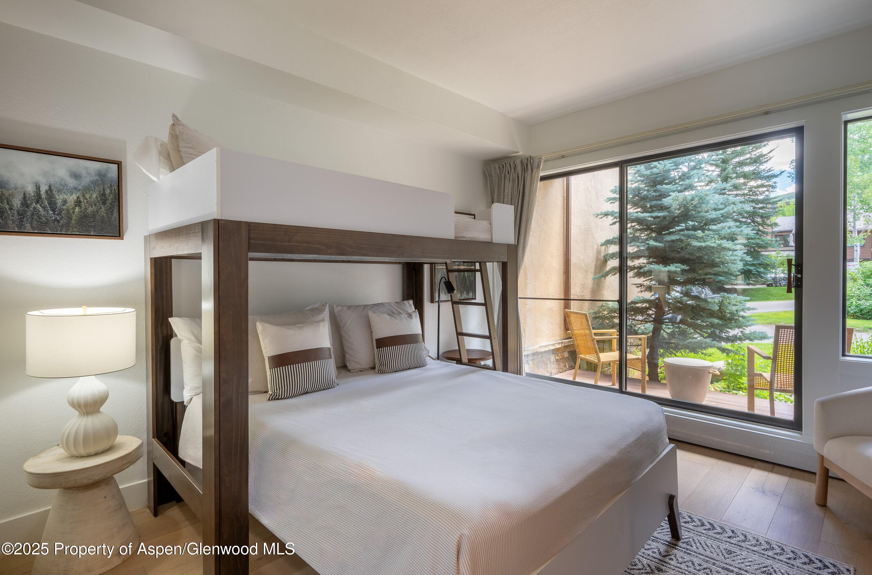 65 Harleston Green 51, Snowmass Village, CO 81615 - Photo 17