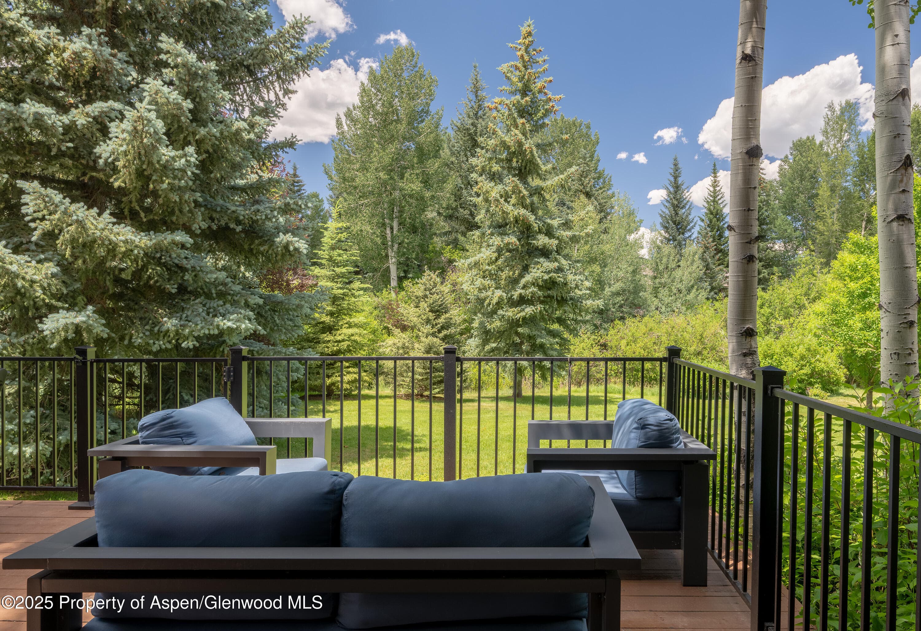 65 Harleston Green 51, Snowmass Village, CO 81615 - Photo 20