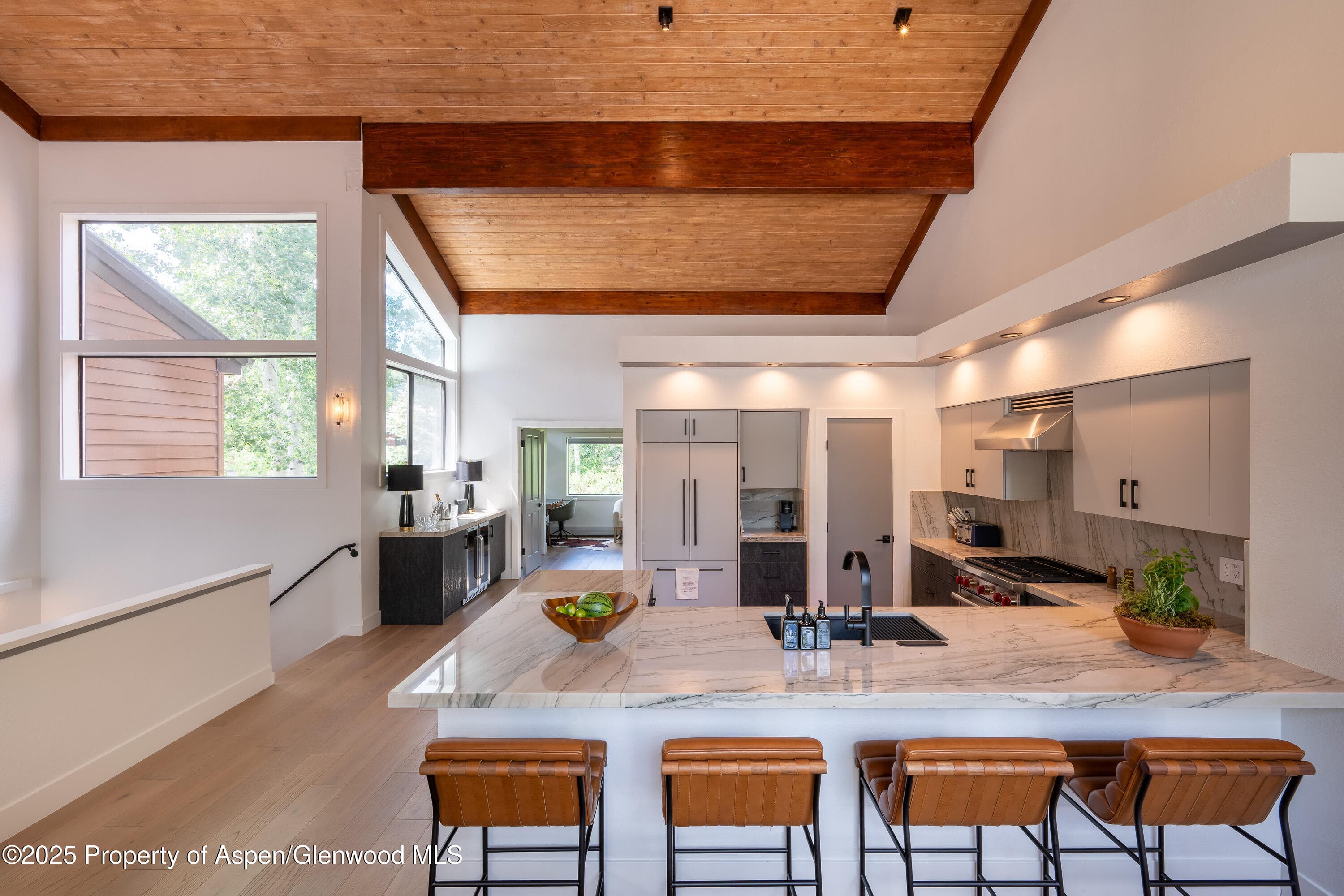 65 Harleston Green 51, Snowmass Village, CO 81615 - Photo 5