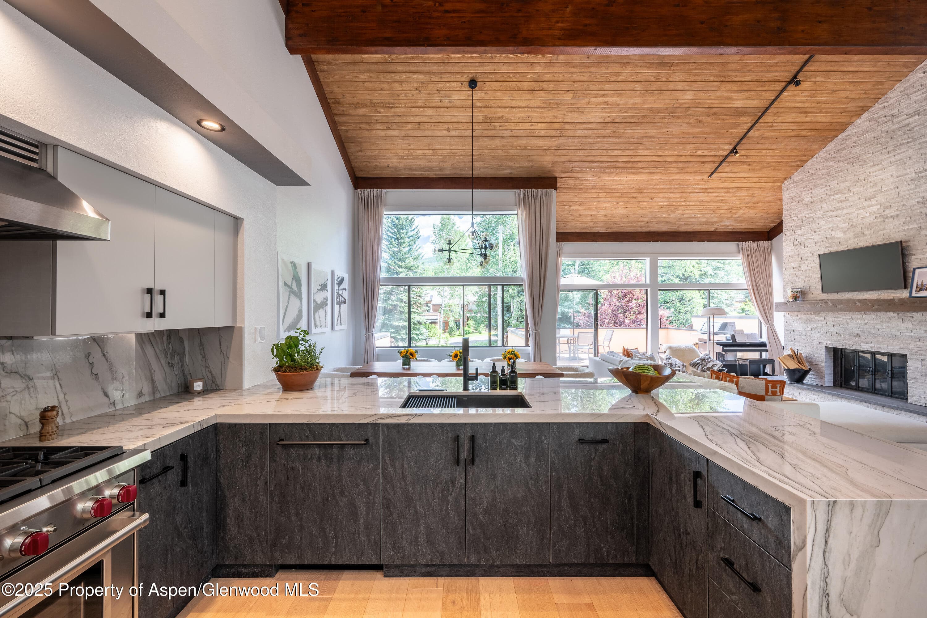 65 Harleston Green 51, Snowmass Village, CO 81615 - Photo 6