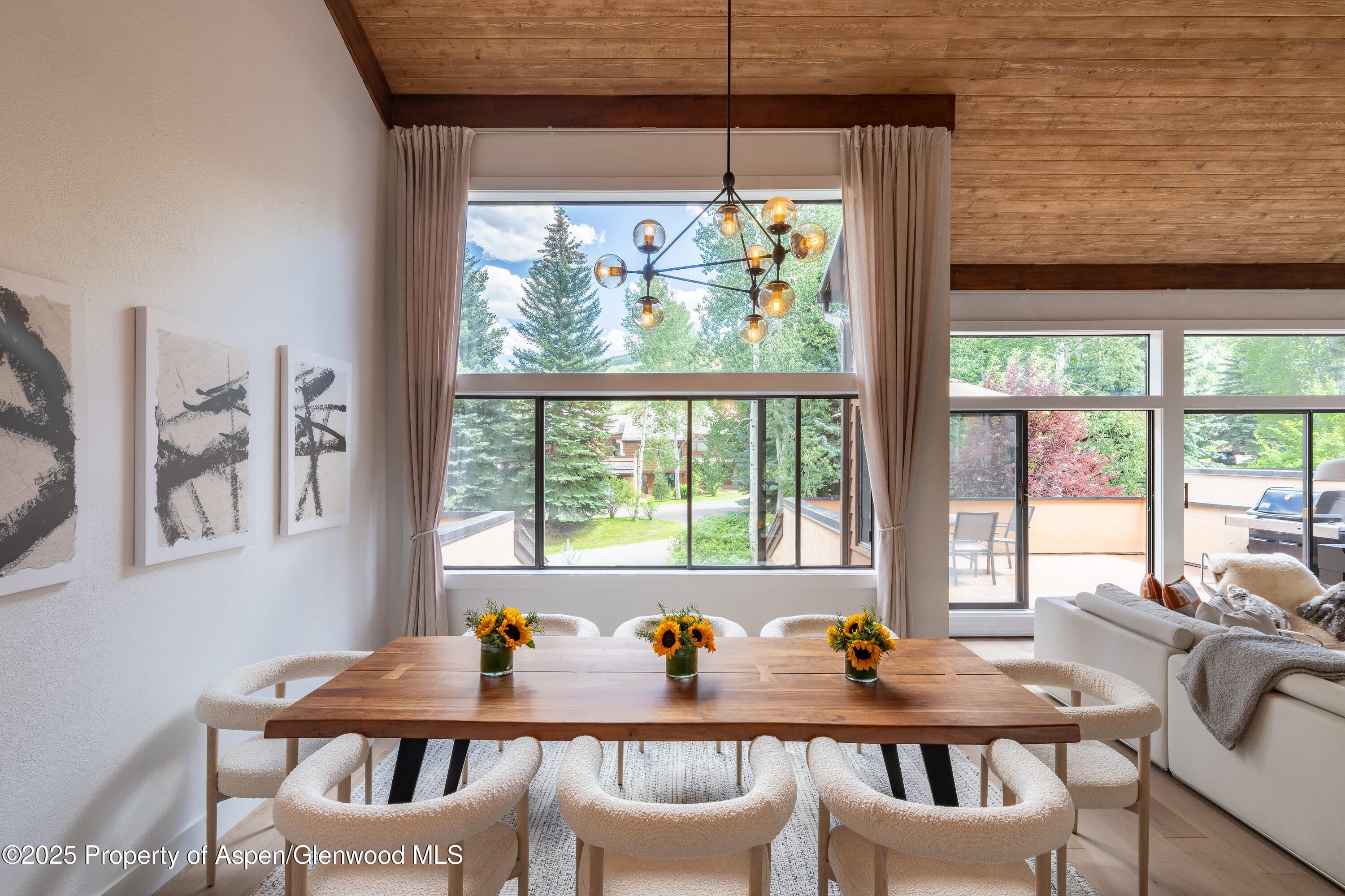 65 Harleston Green 51, Snowmass Village, CO 81615 - Photo 8