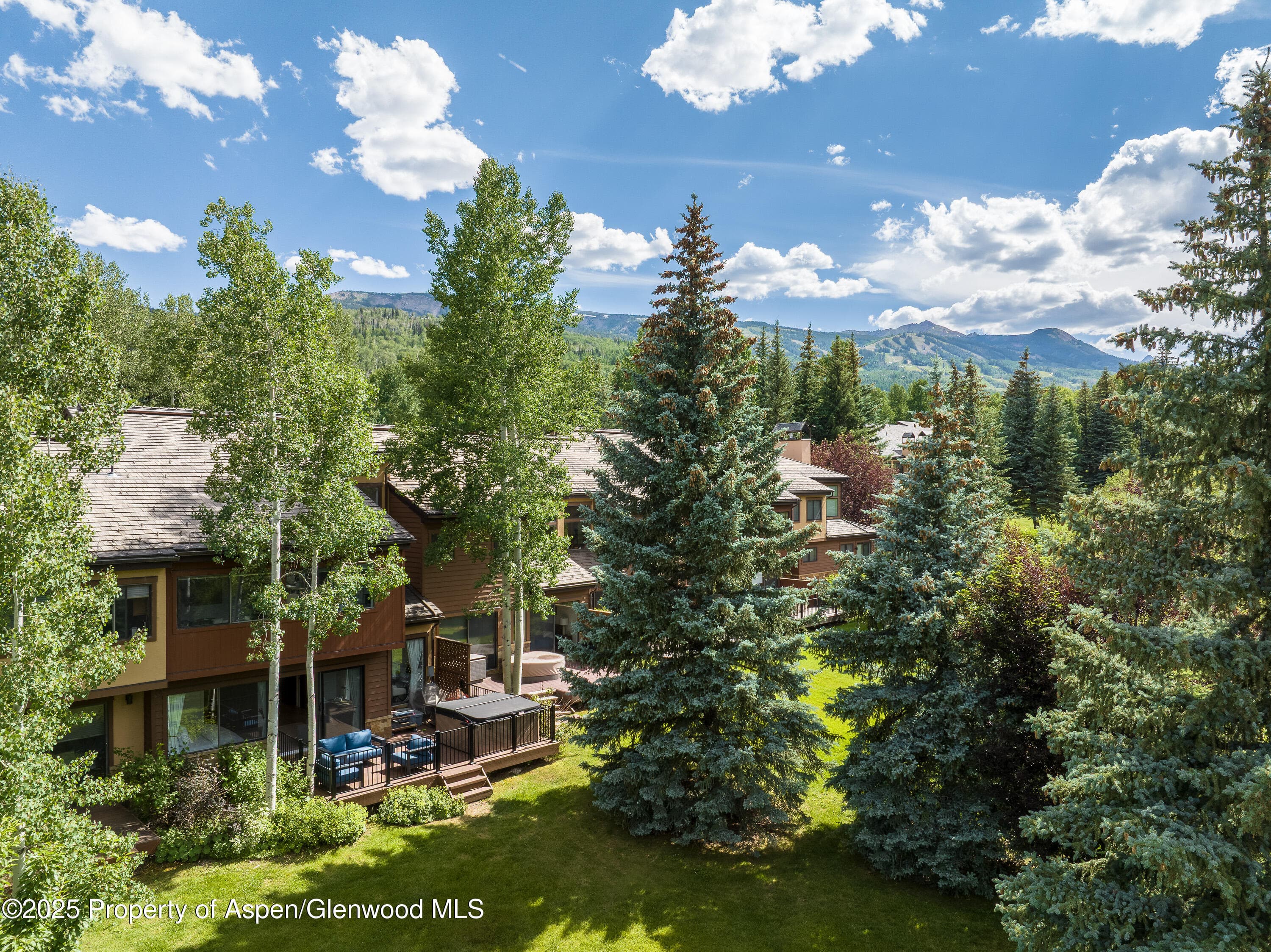 65 Harleston Green 51, Snowmass Village, CO 81615 - Photo 21
